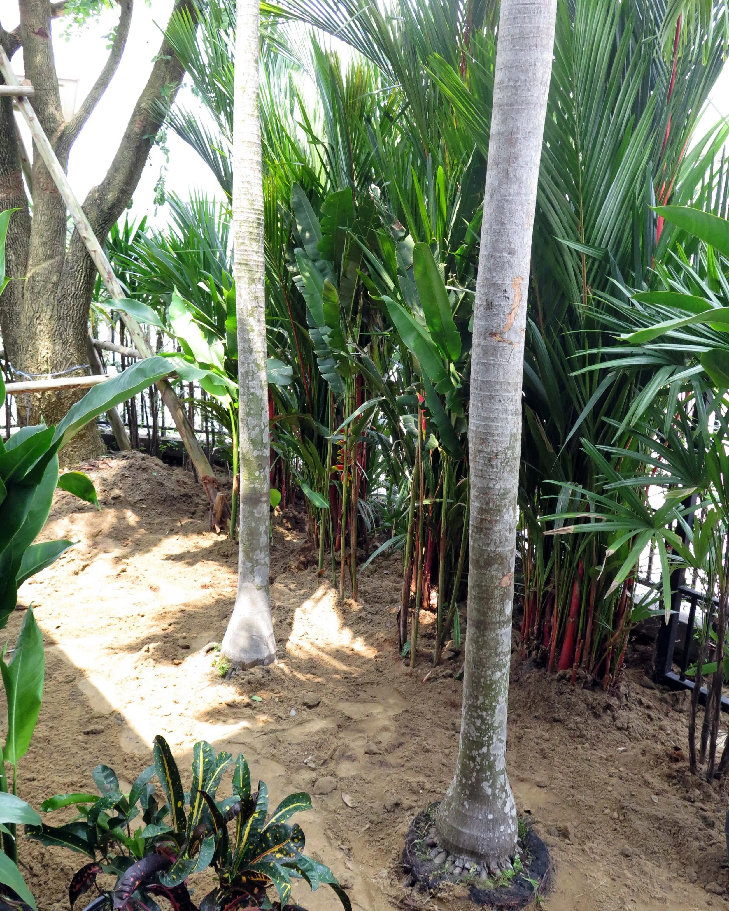 2013 Nonthaburi Setthasiri House and Nonthaburi Neighborhood (85).JPG