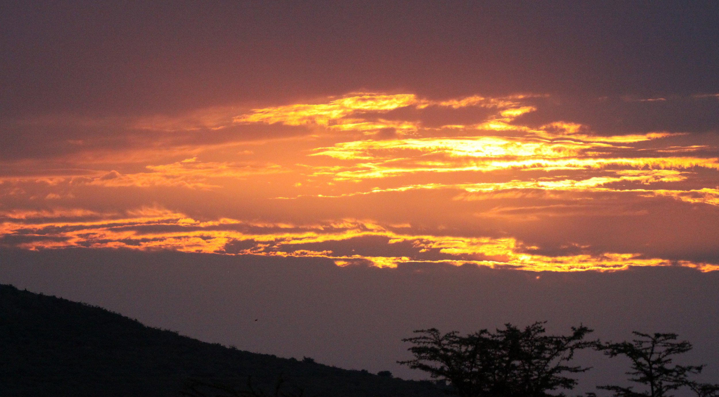 MASAI MARA NATIONAL PARK KENYA (228).JPG
