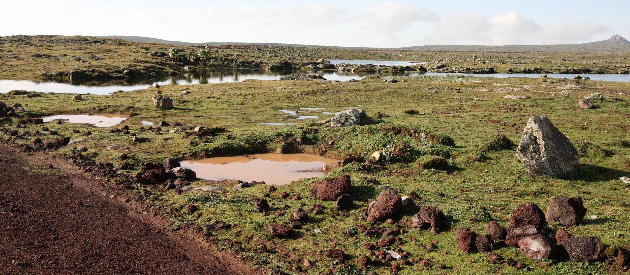 BALE MOUNTAINS NATIONAL PARK ETHIOPIA - SANETTI PLATEAU (49).JPG