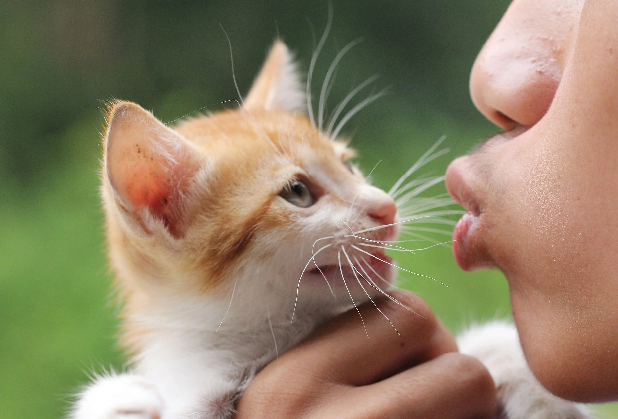 2015 Koh Lanta October Break Trip  (244).JPG