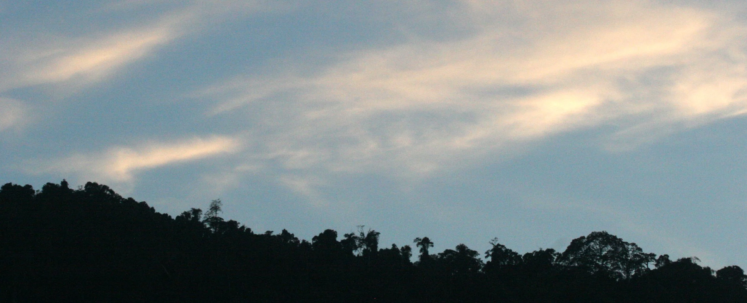 KHAO YAI NATIONAL PARK THAILAND - 2008 - SCENES FROM THE EAST SIDE OF THE PARK (9).JPG