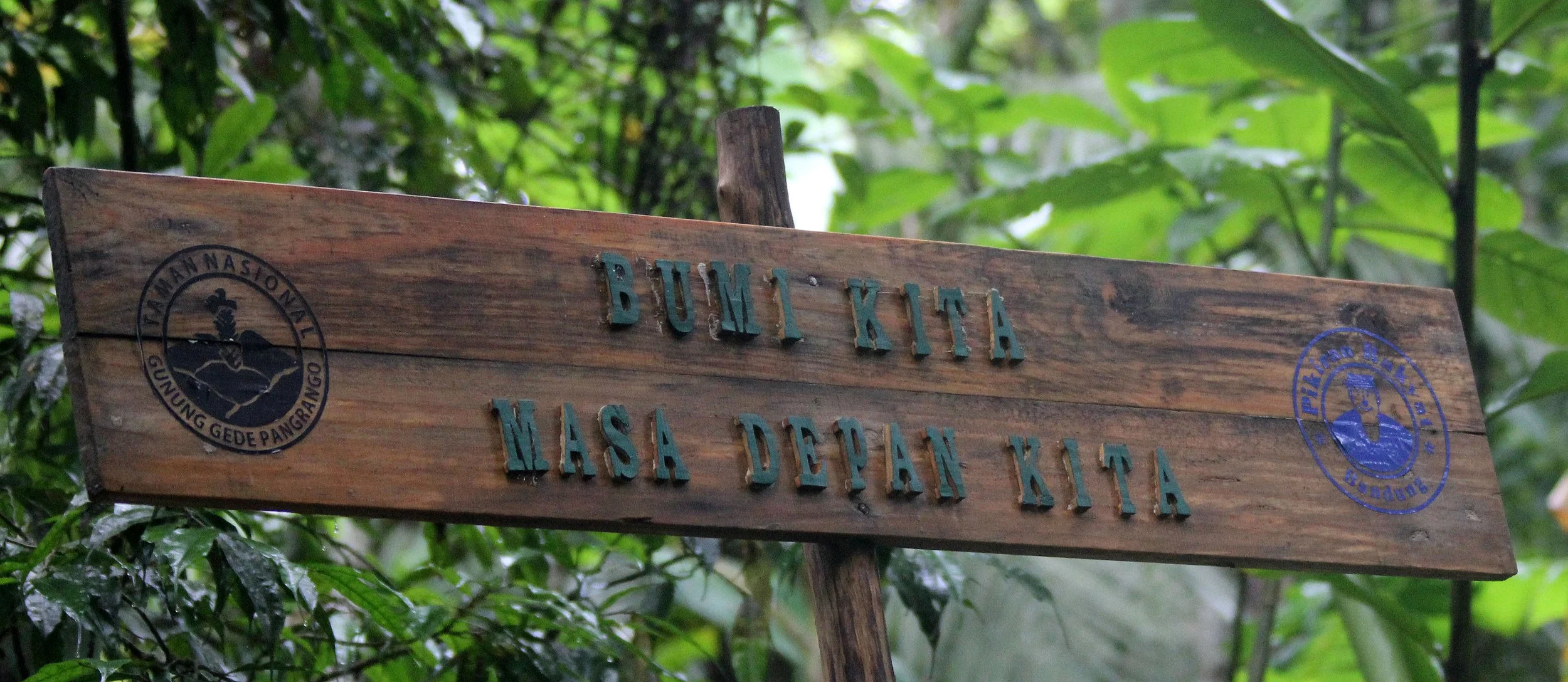 GEDE NATIONAL PARK - JAVA BARAT INDONESIA (1).JPG