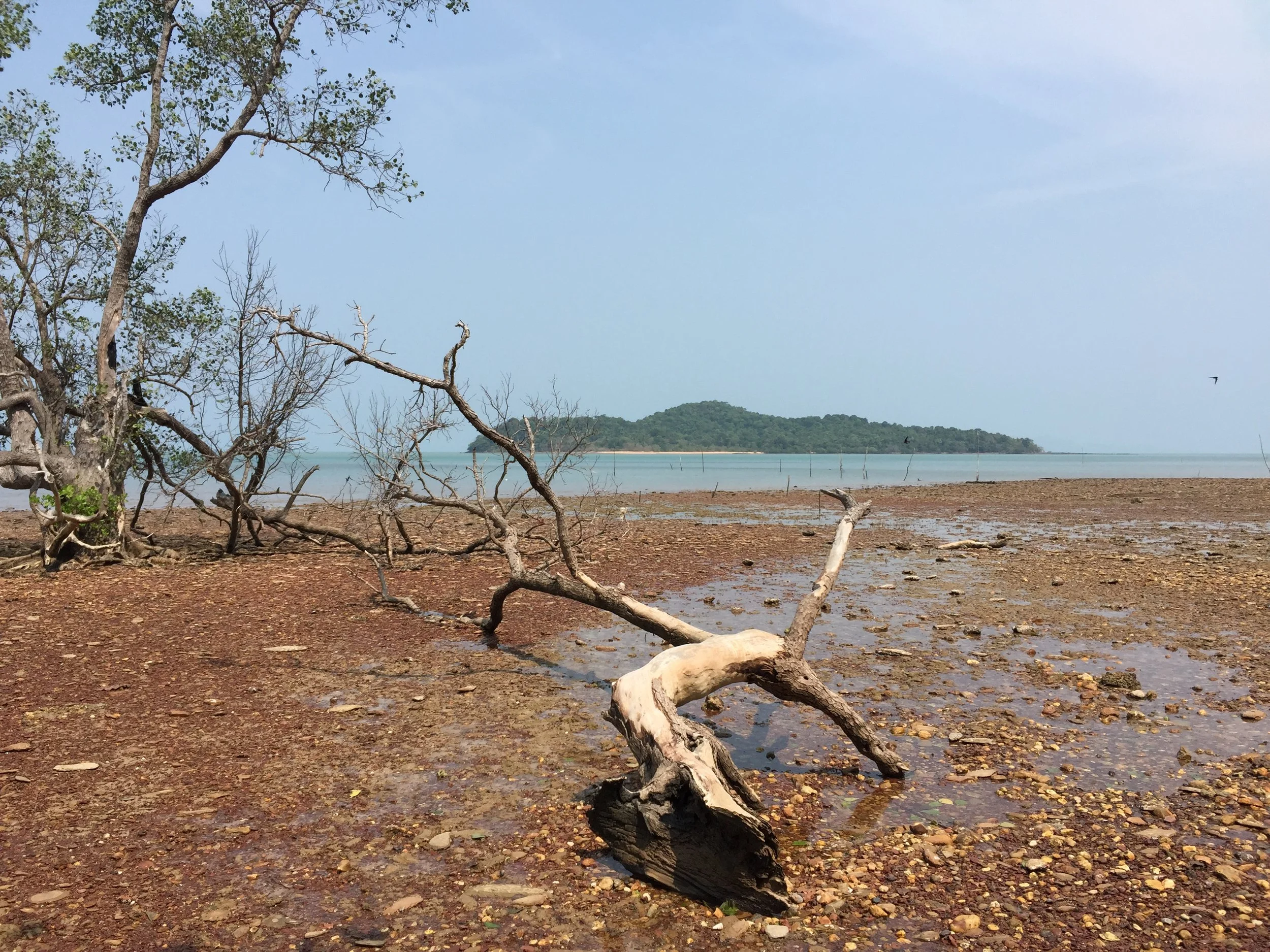 2015 Lanta Project and Scenes (58).JPG