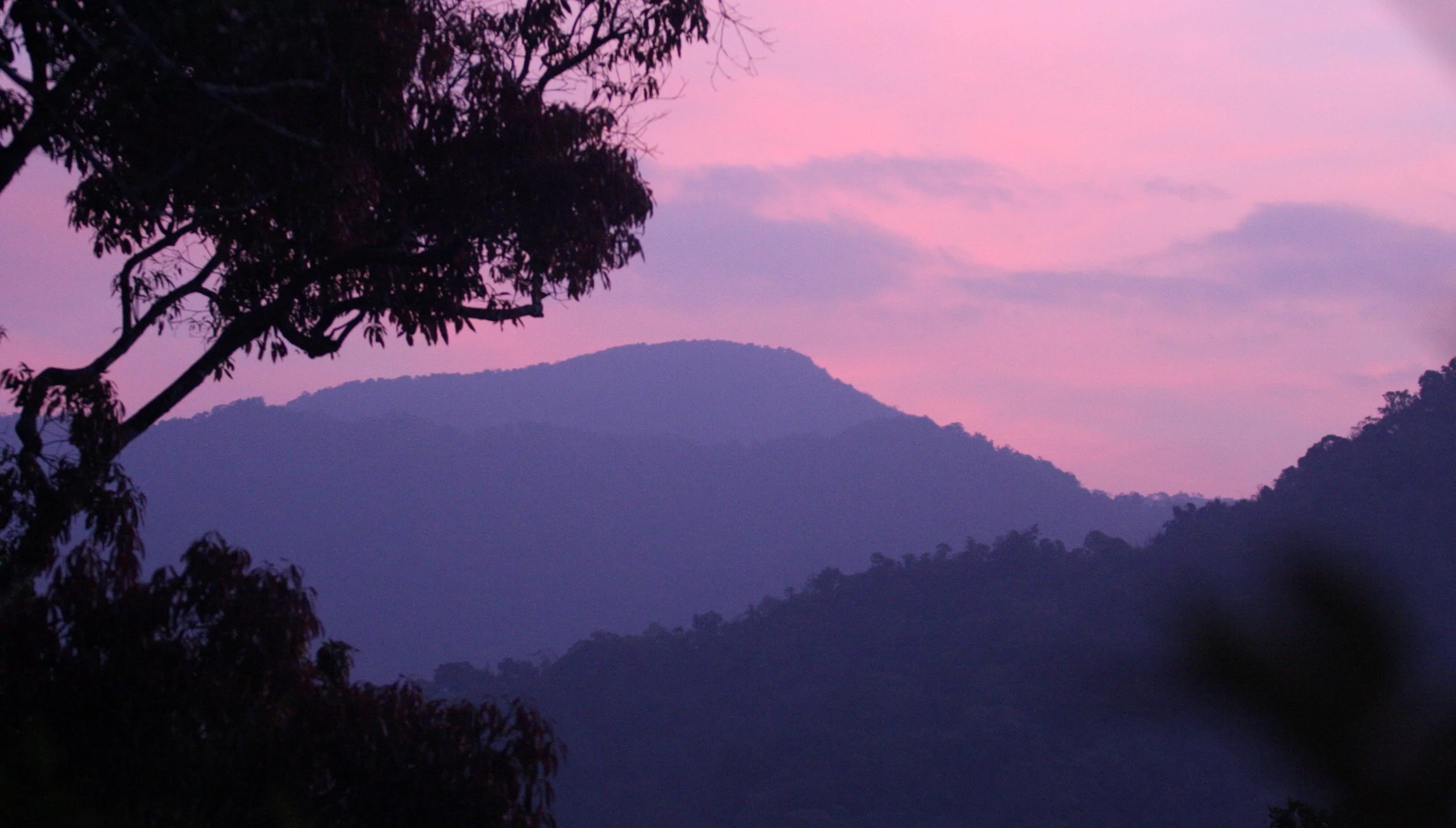KAENG KRACHAN NATIONAL PARK THAILAND - FOREST SCENES (40).JPG