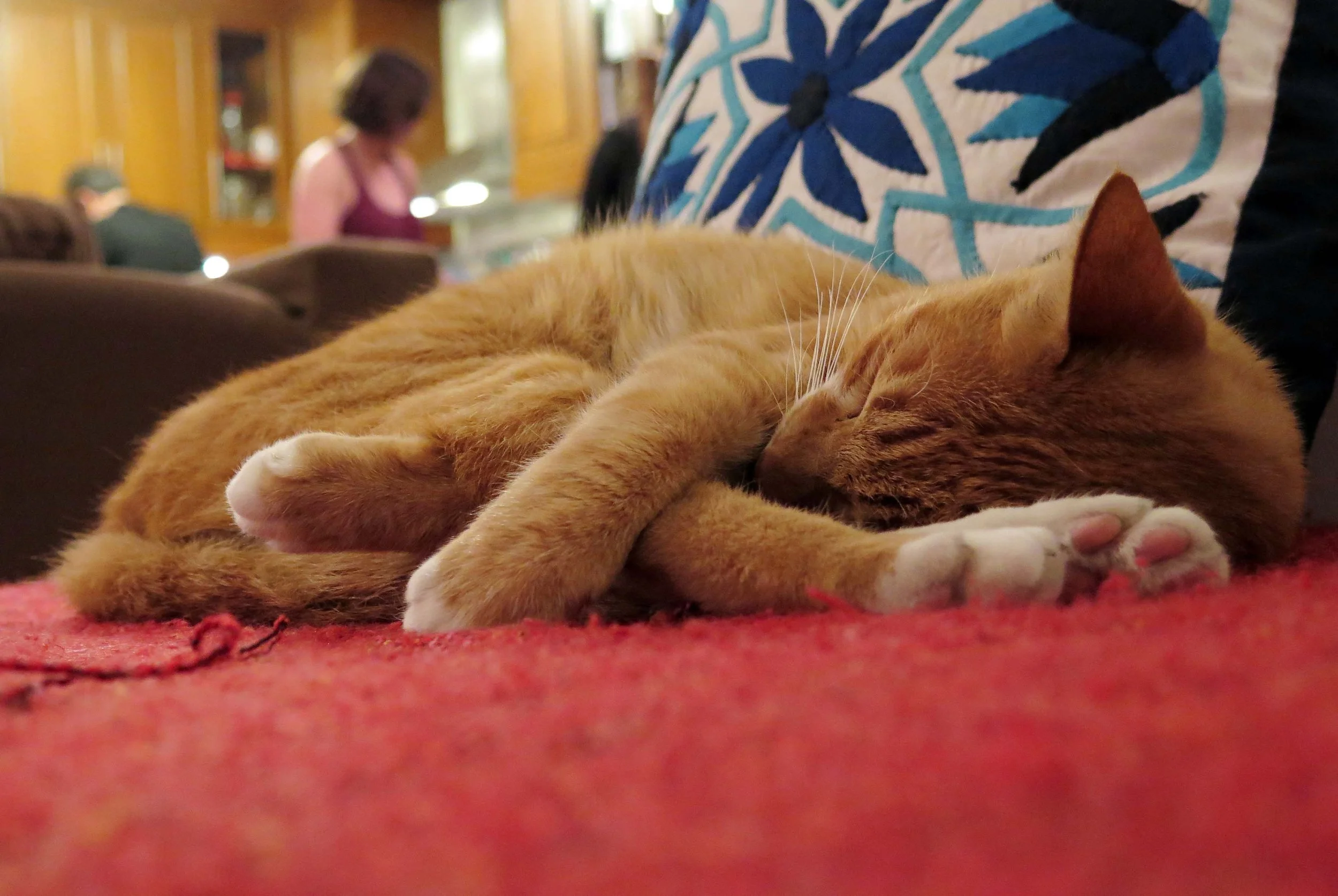 2013 - BANGKOK - NOVEMBER 2013 - MARCH 2014 (9).JPG