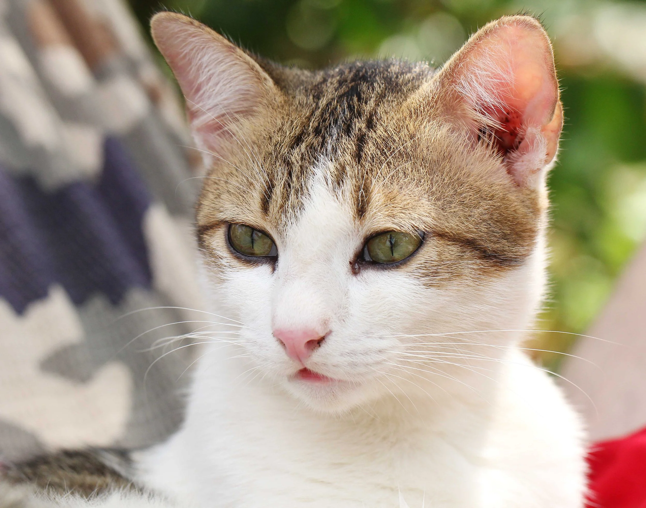 2015 Koh Lanta Songkran with friends from ISB (734).JPG