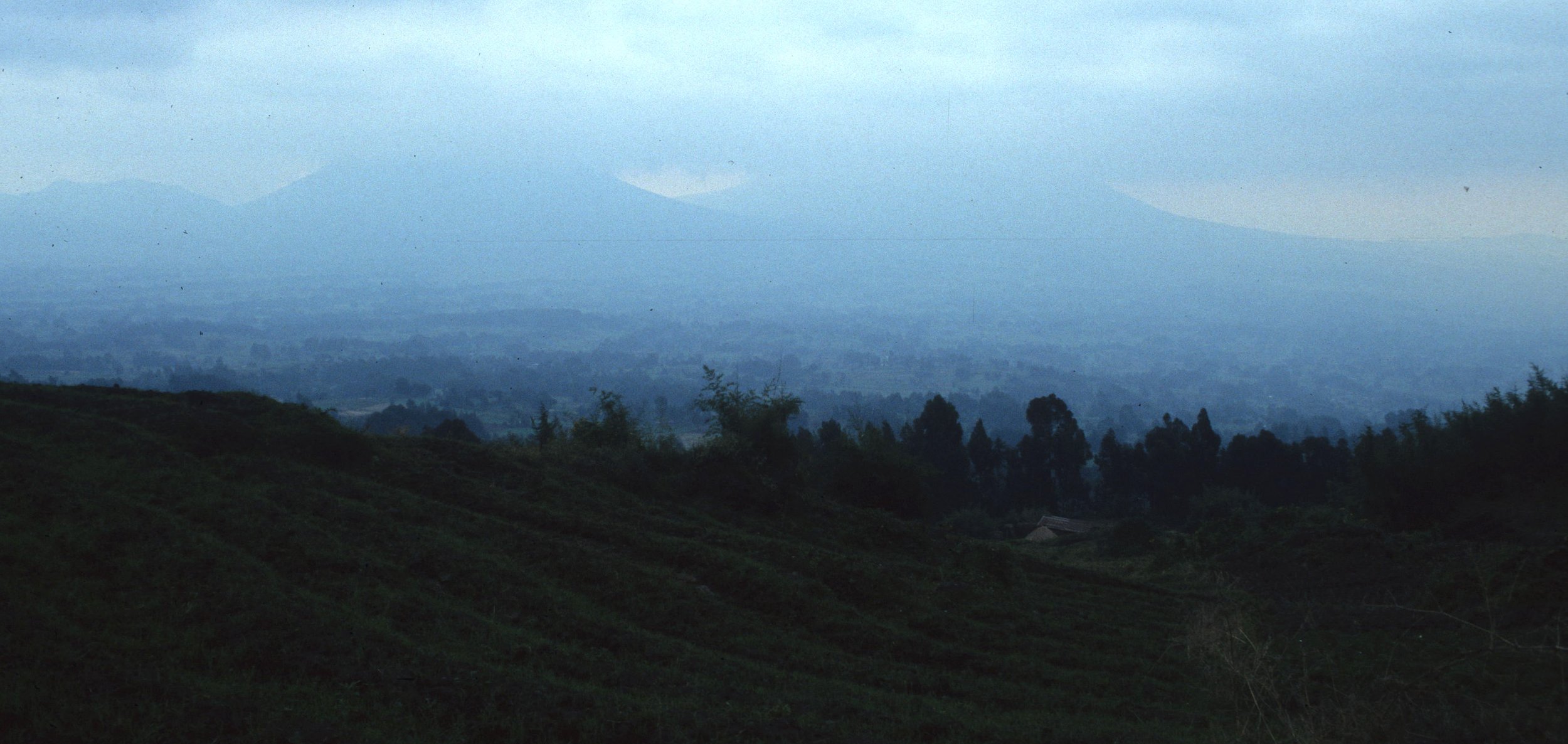RWANDA - COUNTRYSIDE C.jpg