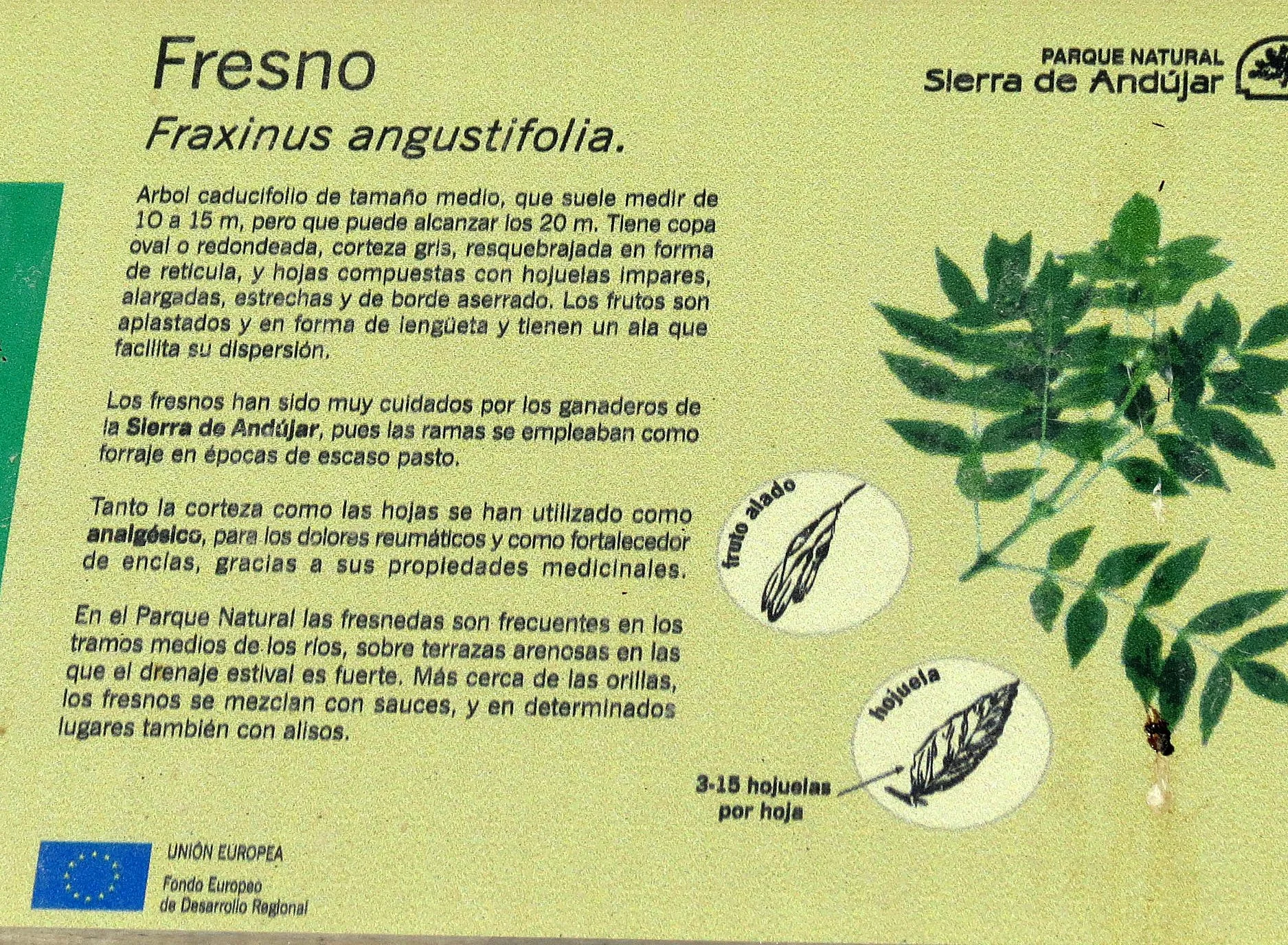 SIERRA DE ANDUJAR NATIONAL PARK SPAIN (2).JPG