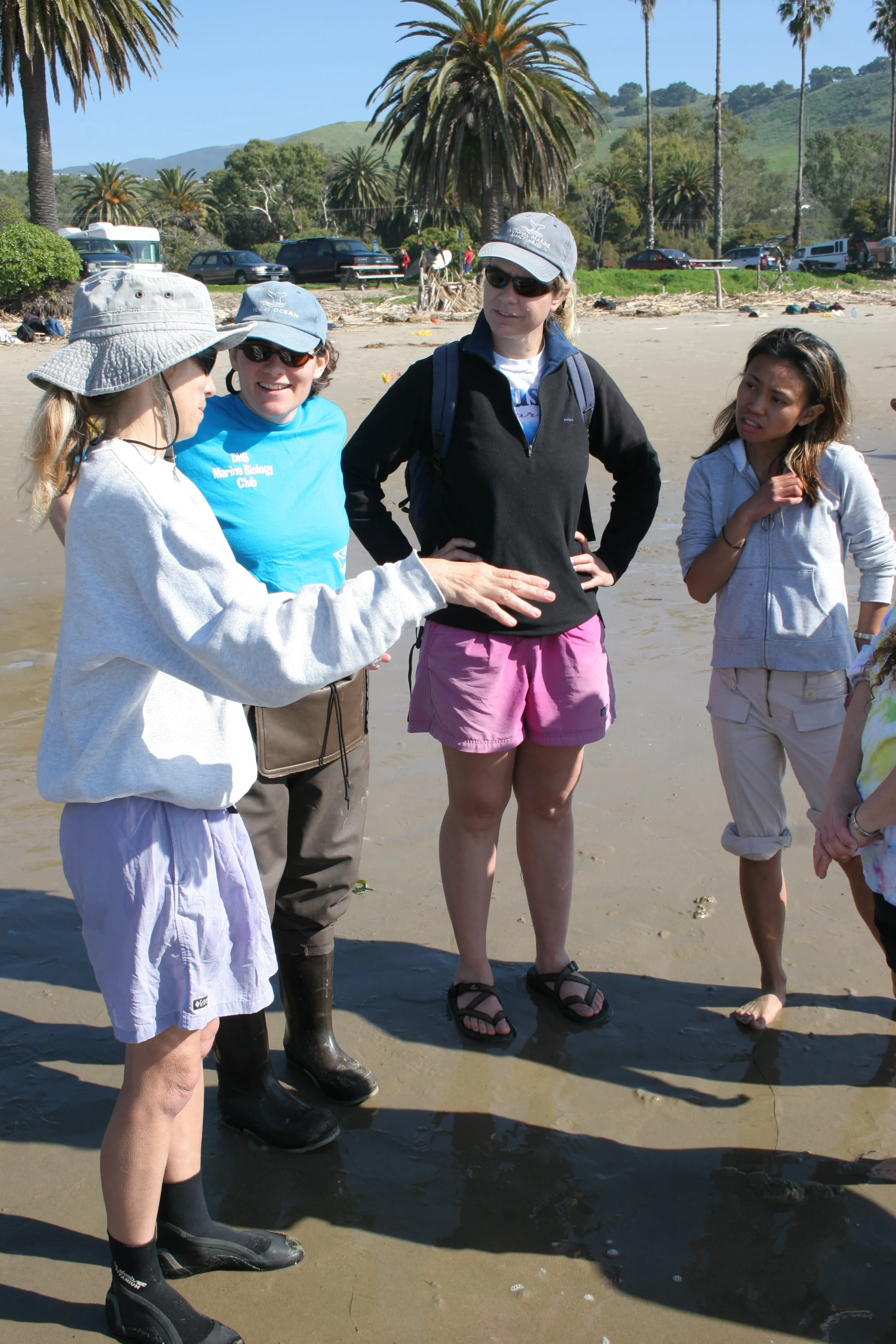 CALIFORNIA - CHANNEL ISLANDS NP - LIMPETS RESEARCH METHODS (10).jpg