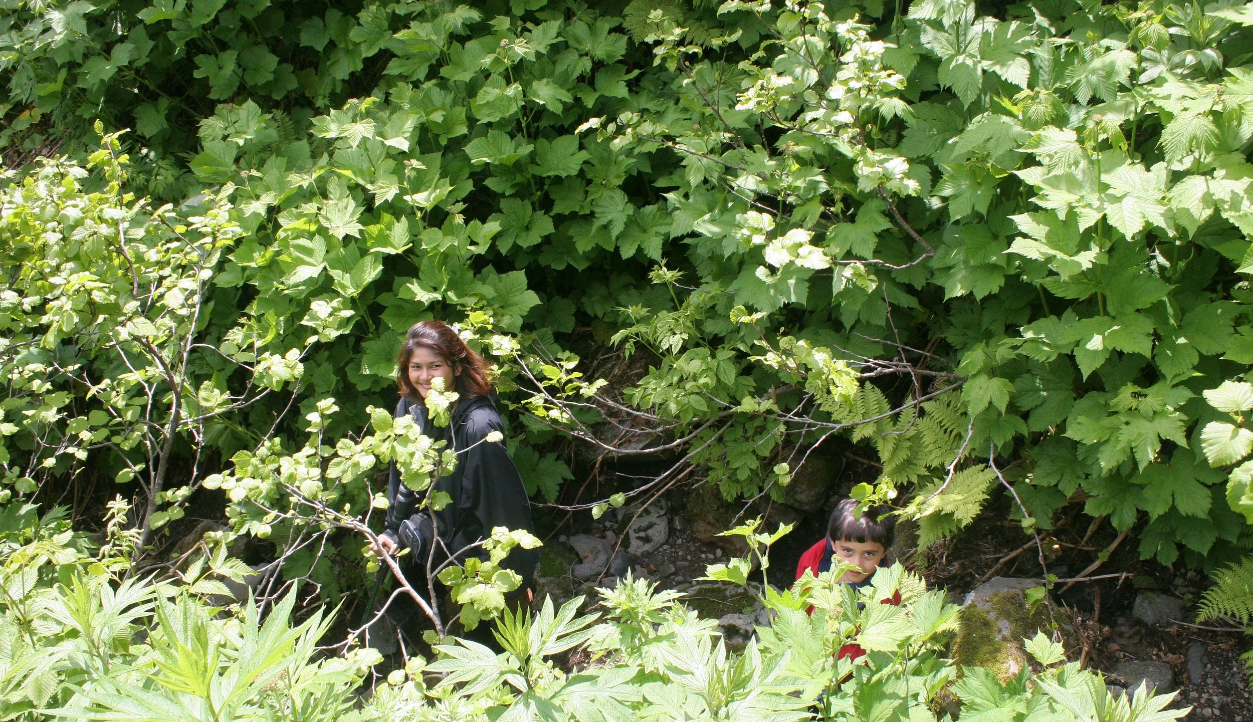 KURIL ISLAND - FLORA (52).jpg