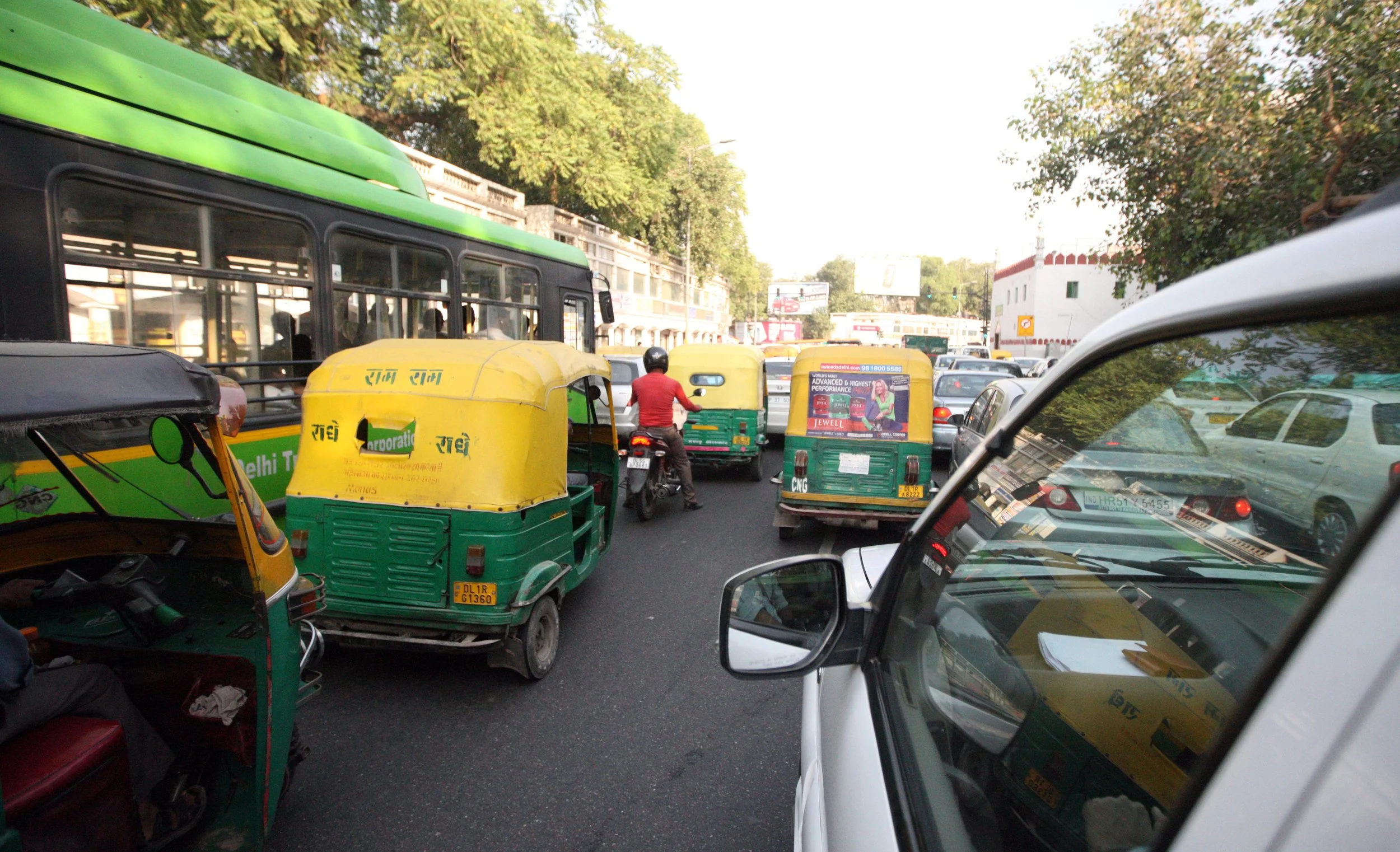 OLD DELHI INDIA - SNOW LEOPARD TRIP 2014 (8).JPG