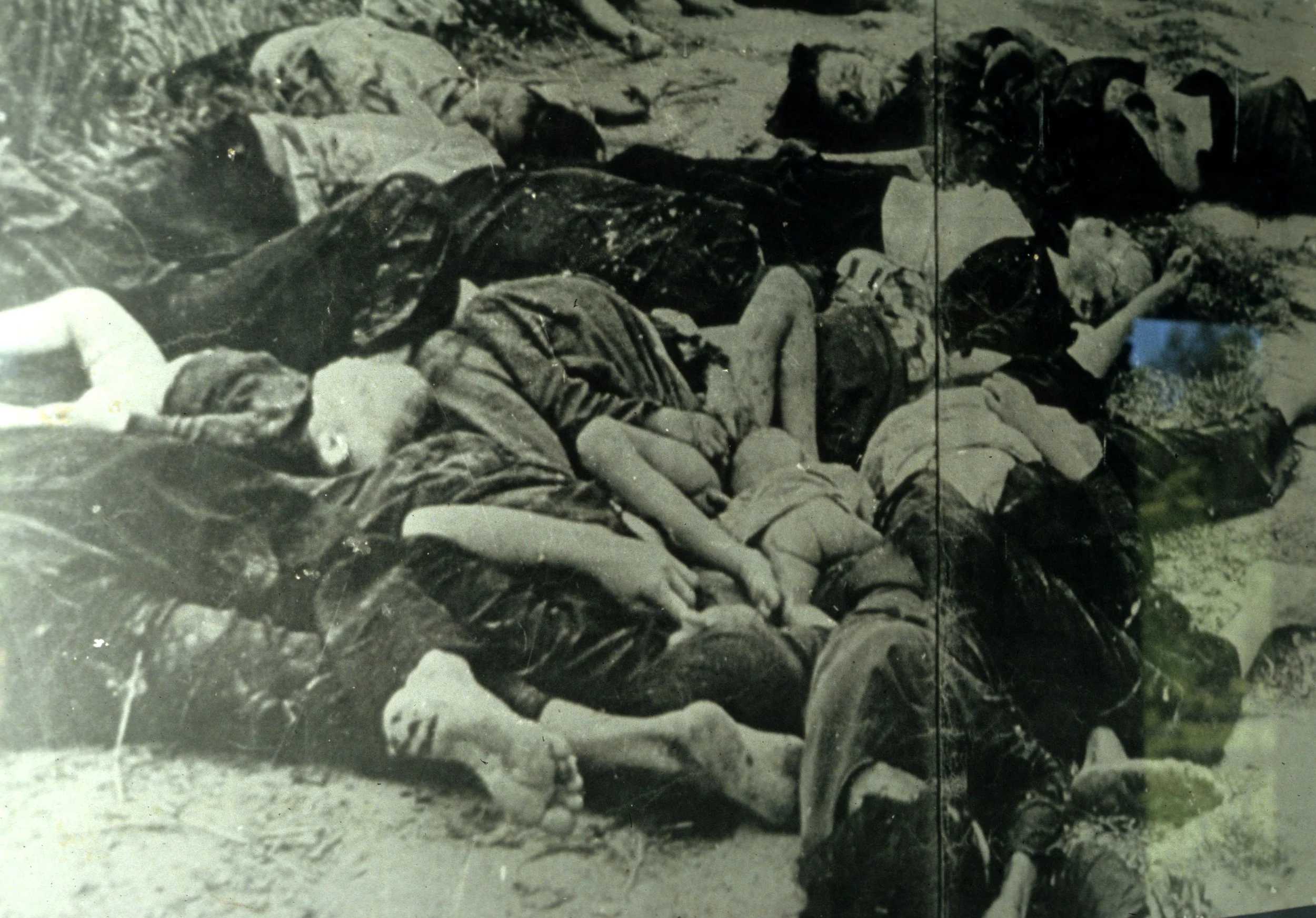 MY LAI - MASSACRE SITE (5).jpg