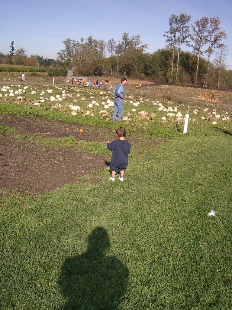 2003-10-26 PUMPKIN PATCH PORT ANGELES (3).JPG