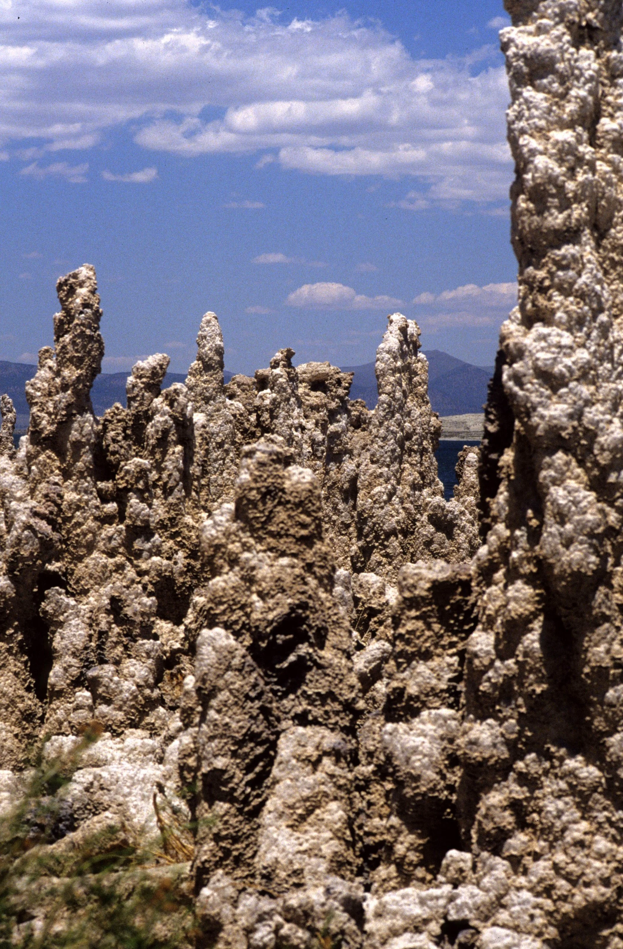 CALIFORNIA - MONO LAKE - TUFA FORMATIONS (9).jpg