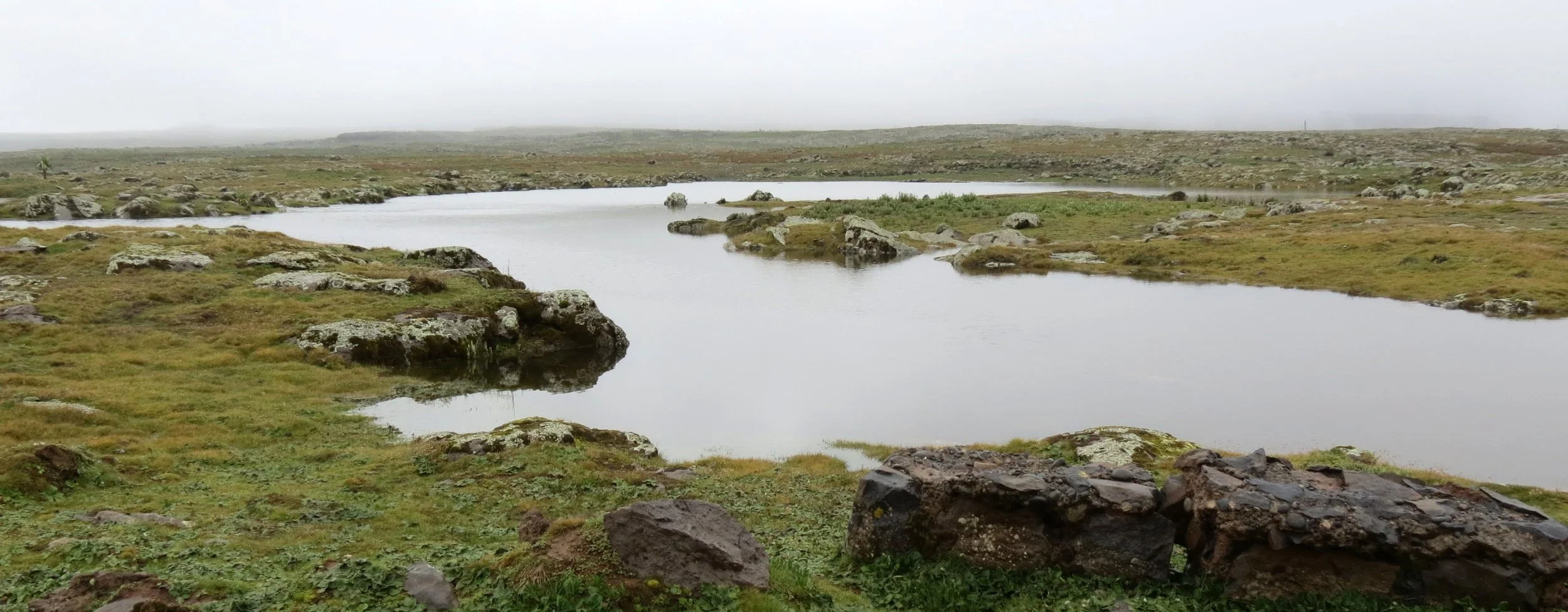 BALE MOUNTAINS NATIONAL PARK - SANETTI PLATEAU - ETHIOPIA (34).JPG