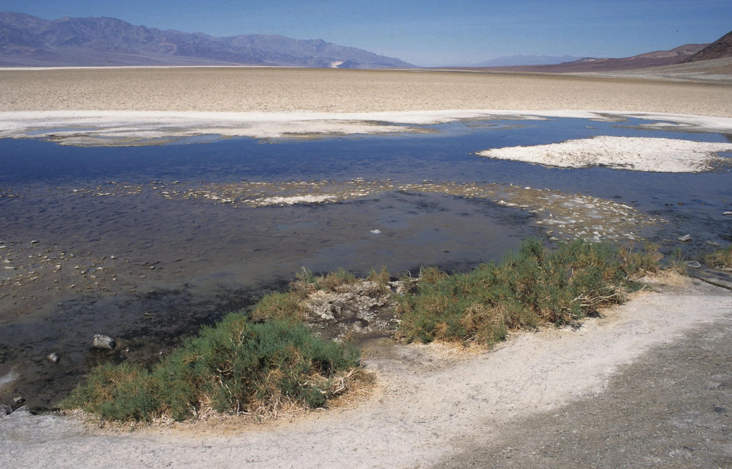 DEATH VALLEY - BADWATER - MINUS 134 FEET A.jpg
