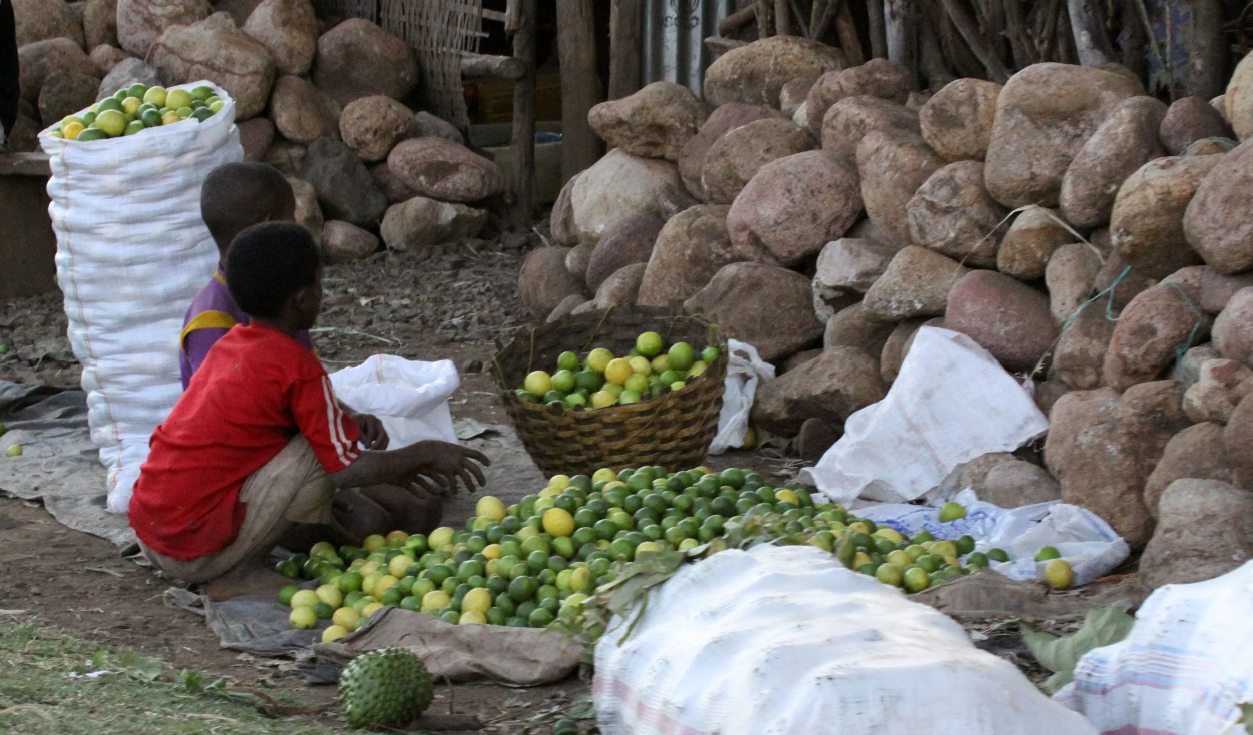 ARBAMINCH ETHIOPIA 2012 (125).JPG