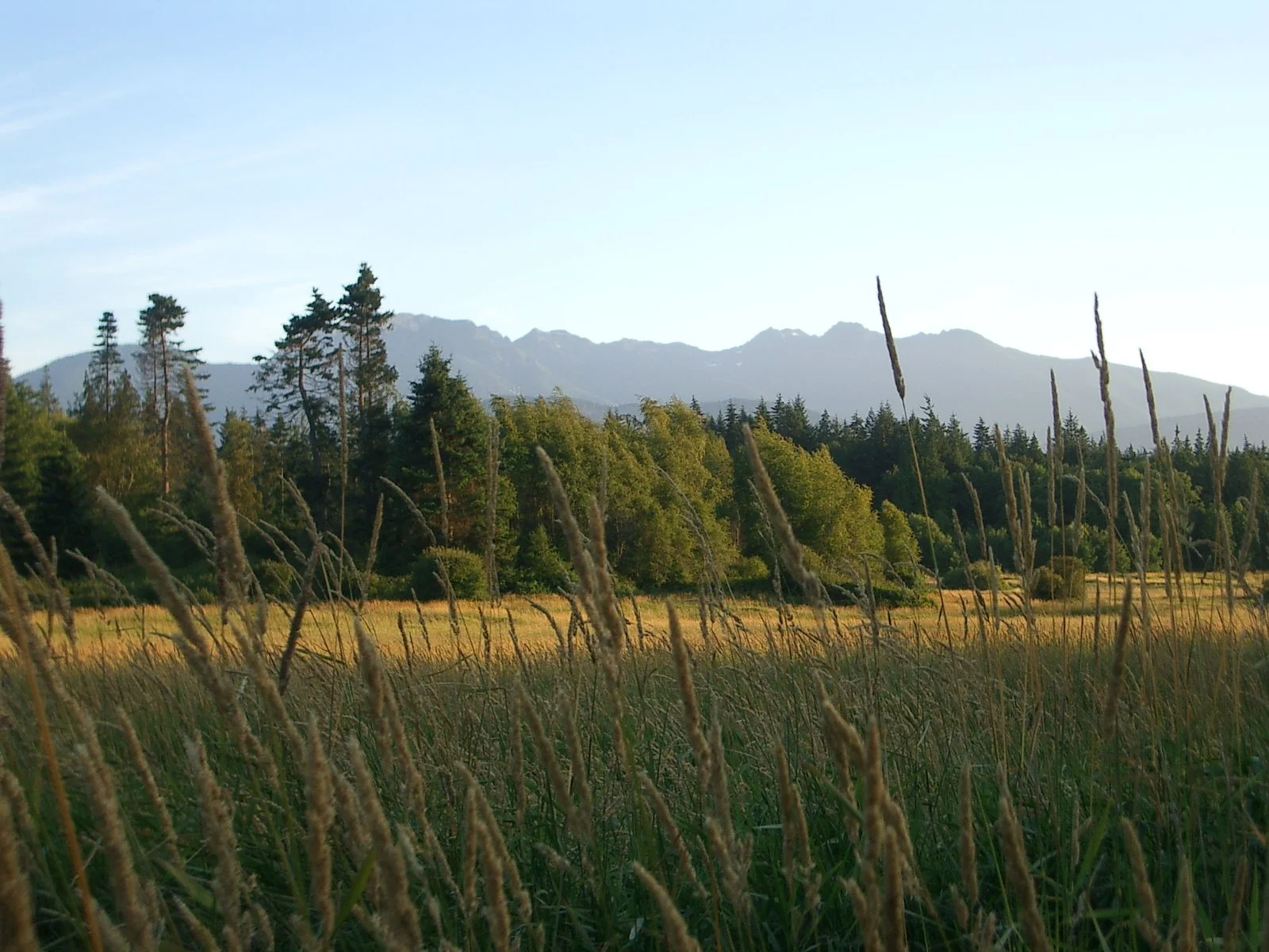 2003-7-31 FAMILY REUNION IN WASHINGTON AND CANADA (105).JPG