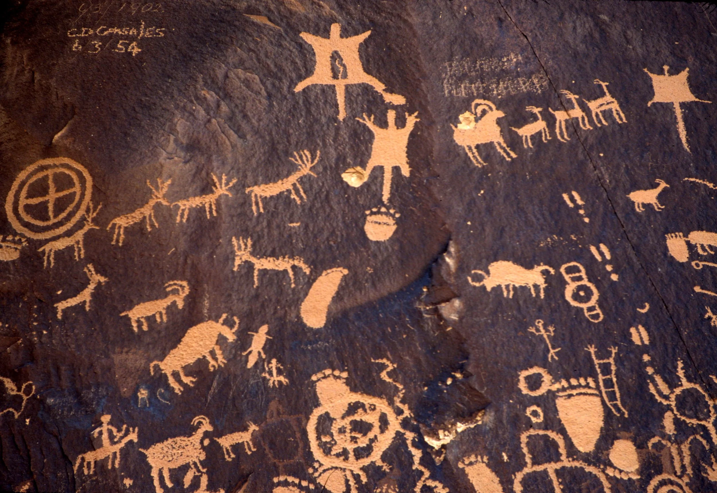 ANASAZILAND - NEWSPAPER ROCK PETROGLYPHS - CANYONLANDS NP (2).jpg