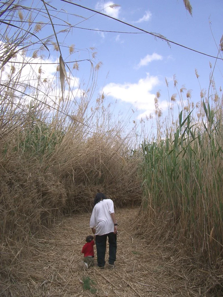 AZRAQ WETLANDS (8).JPG