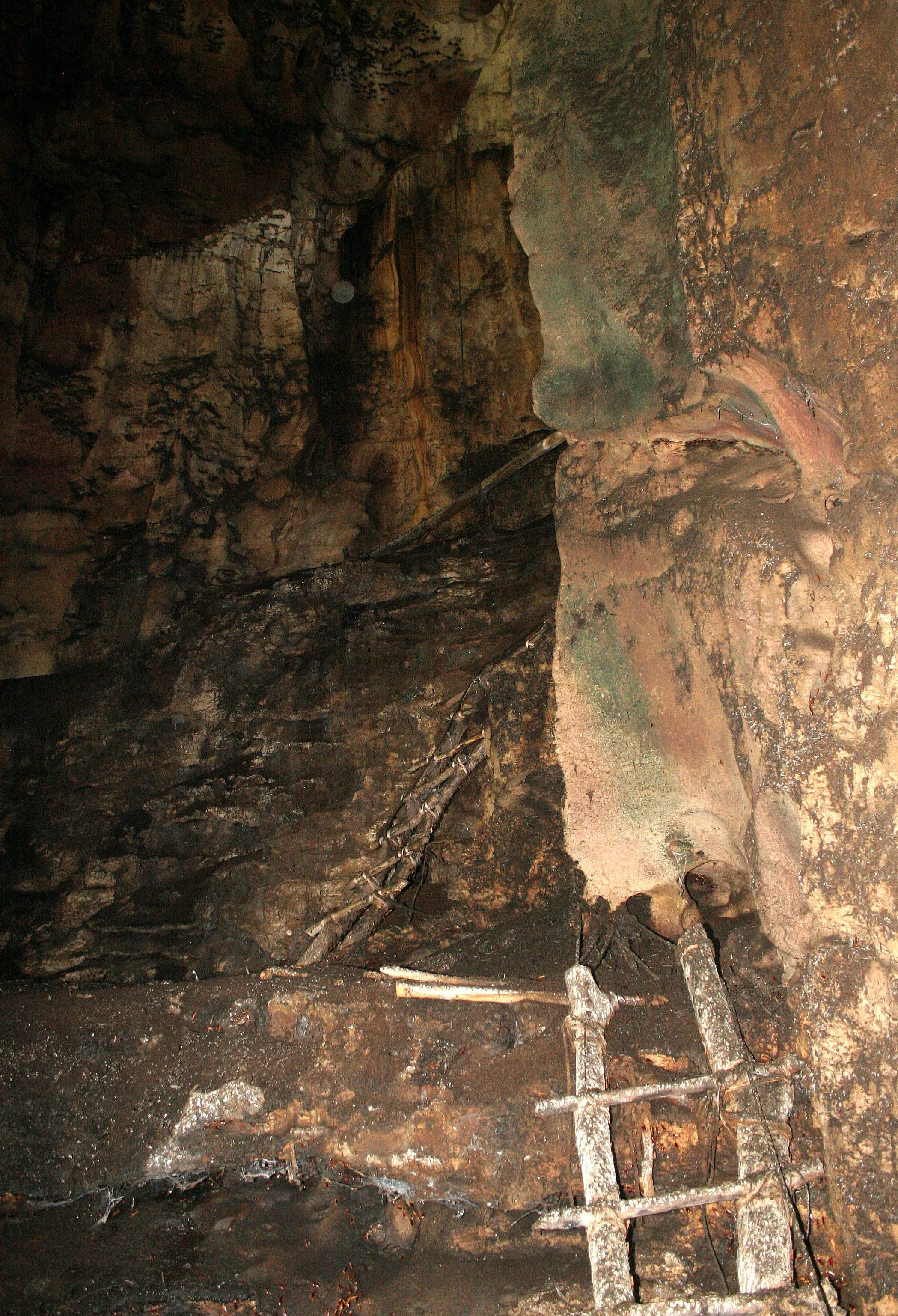 GAMONTONG CAVES BORNEO.JPG