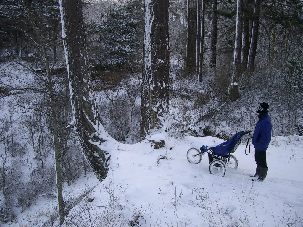 2004-1-3 LAKE FARM IN SNOW (21).JPG