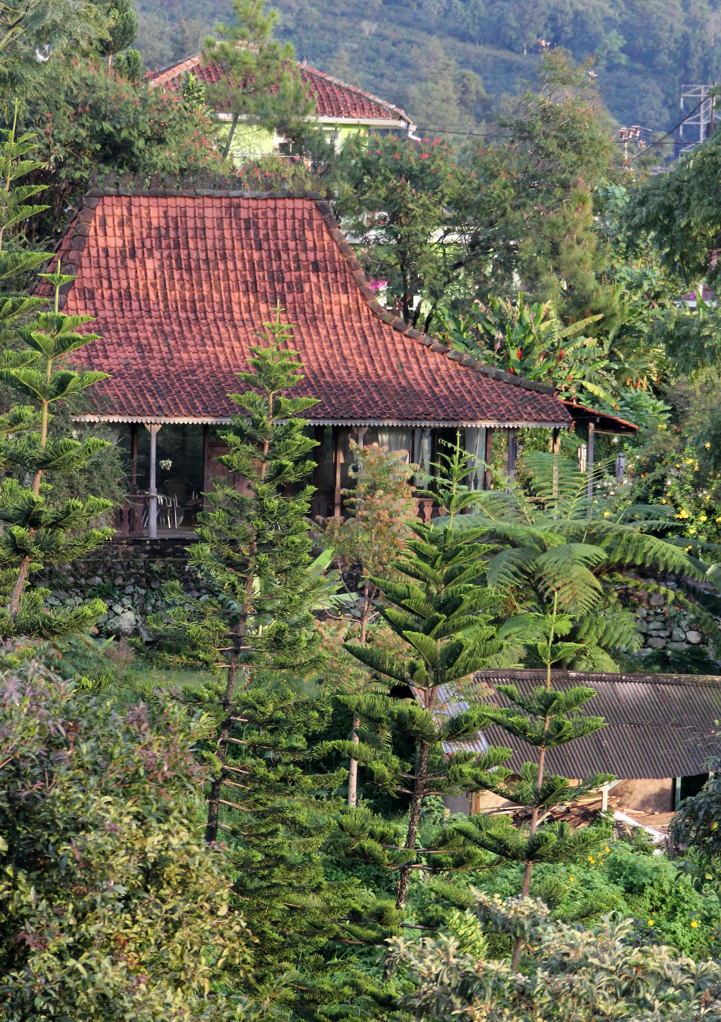 BOGOR - GEDE NATIONAL PARK - JAVA BARA, INDONESIA (5).JPG