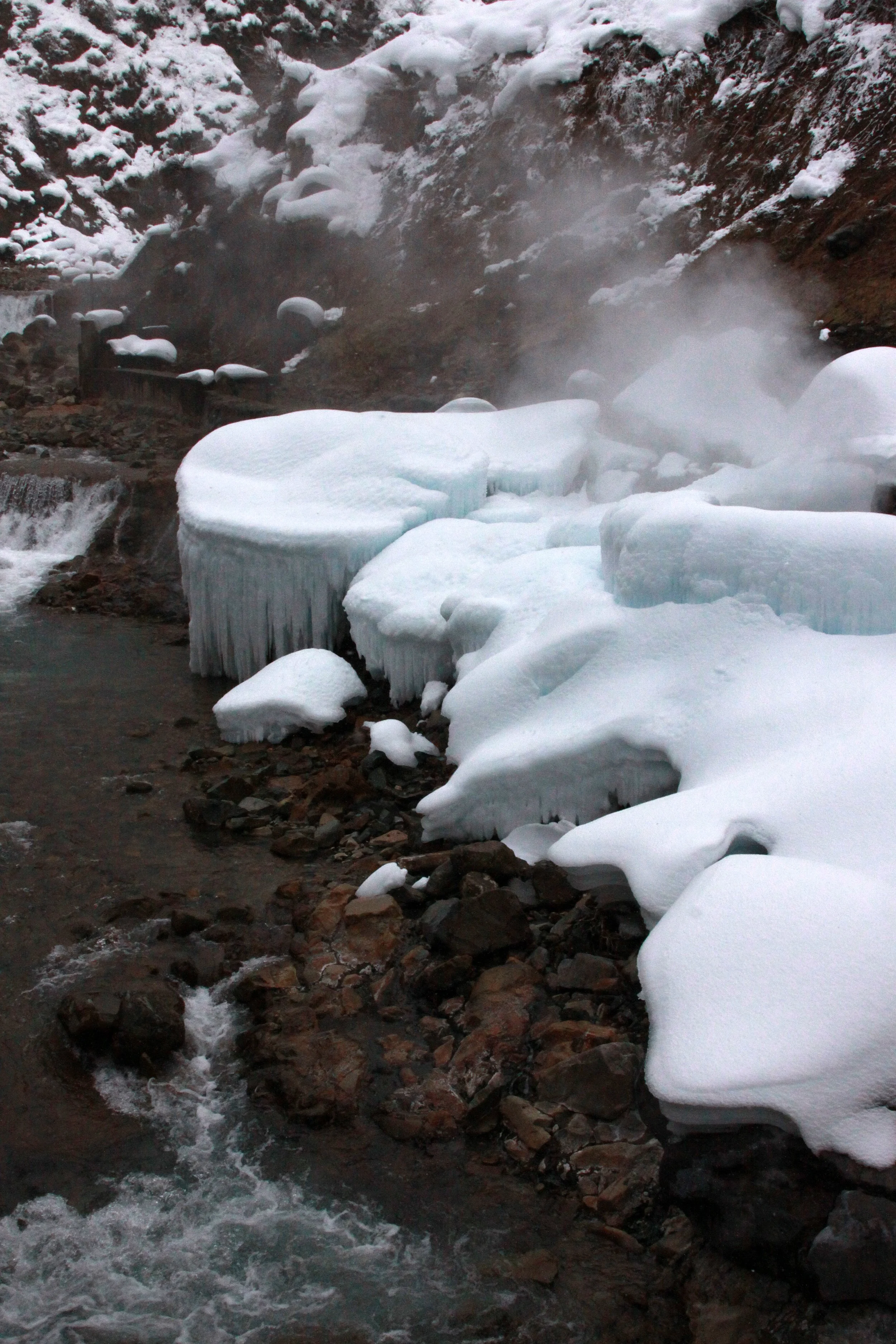 JIGOKUDANI ONSEN - NAGANO PREFECTURE JAPAN - FOREST SCENCES (3).JPG