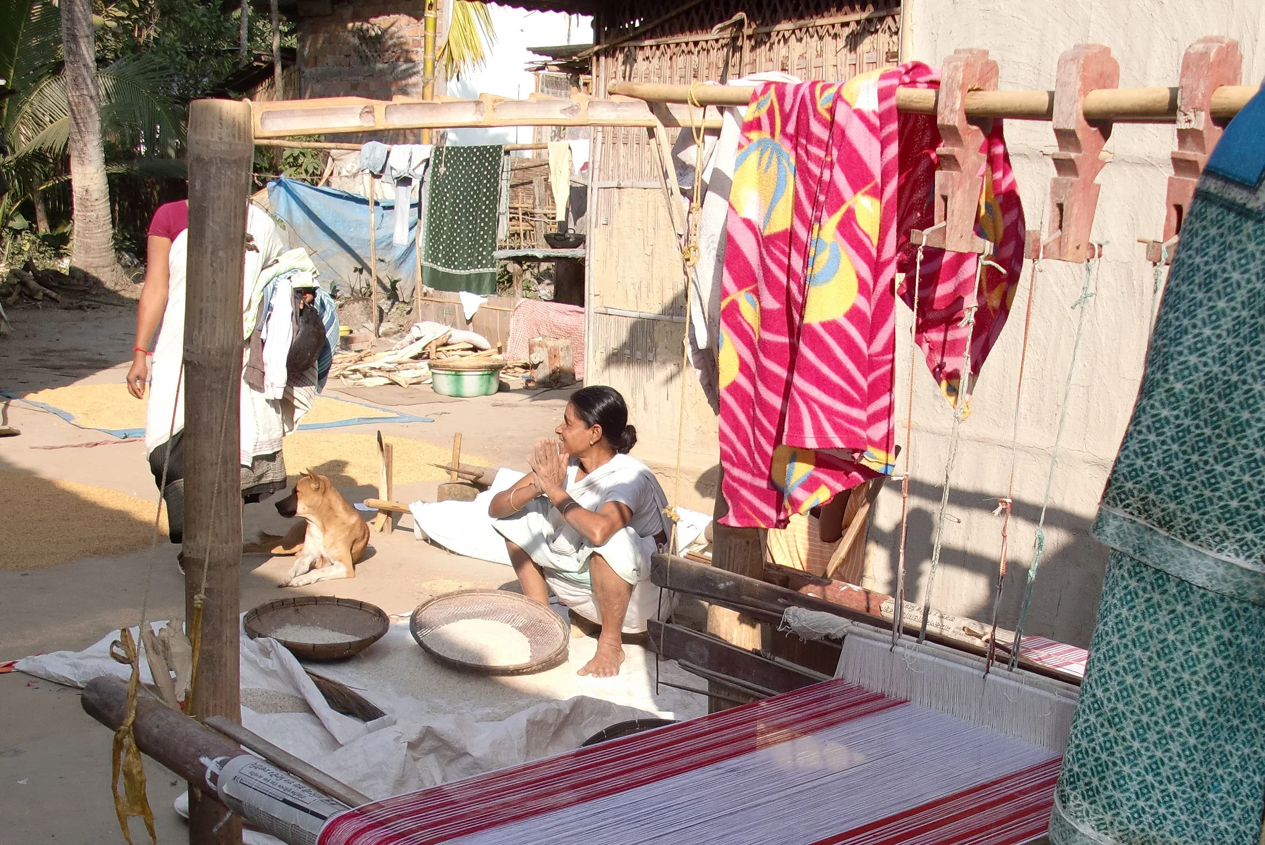 ASSAM - KAZIRANGA NATIONAL PARK INDIA (8).JPG