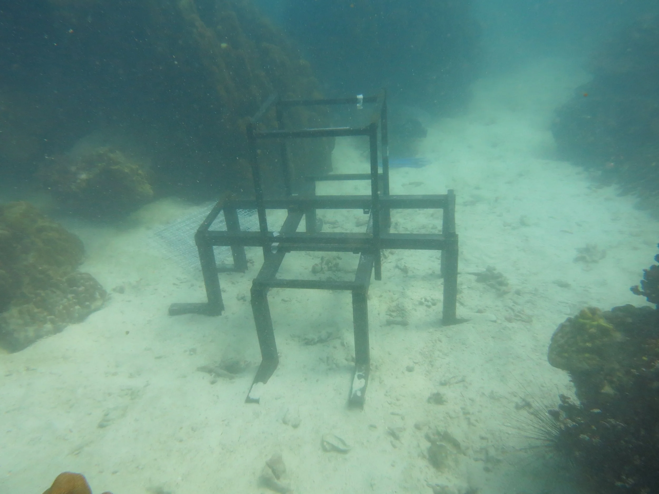 2016 BPS Satthahip Dive Trip with Marine Conservation Club (19).JPG