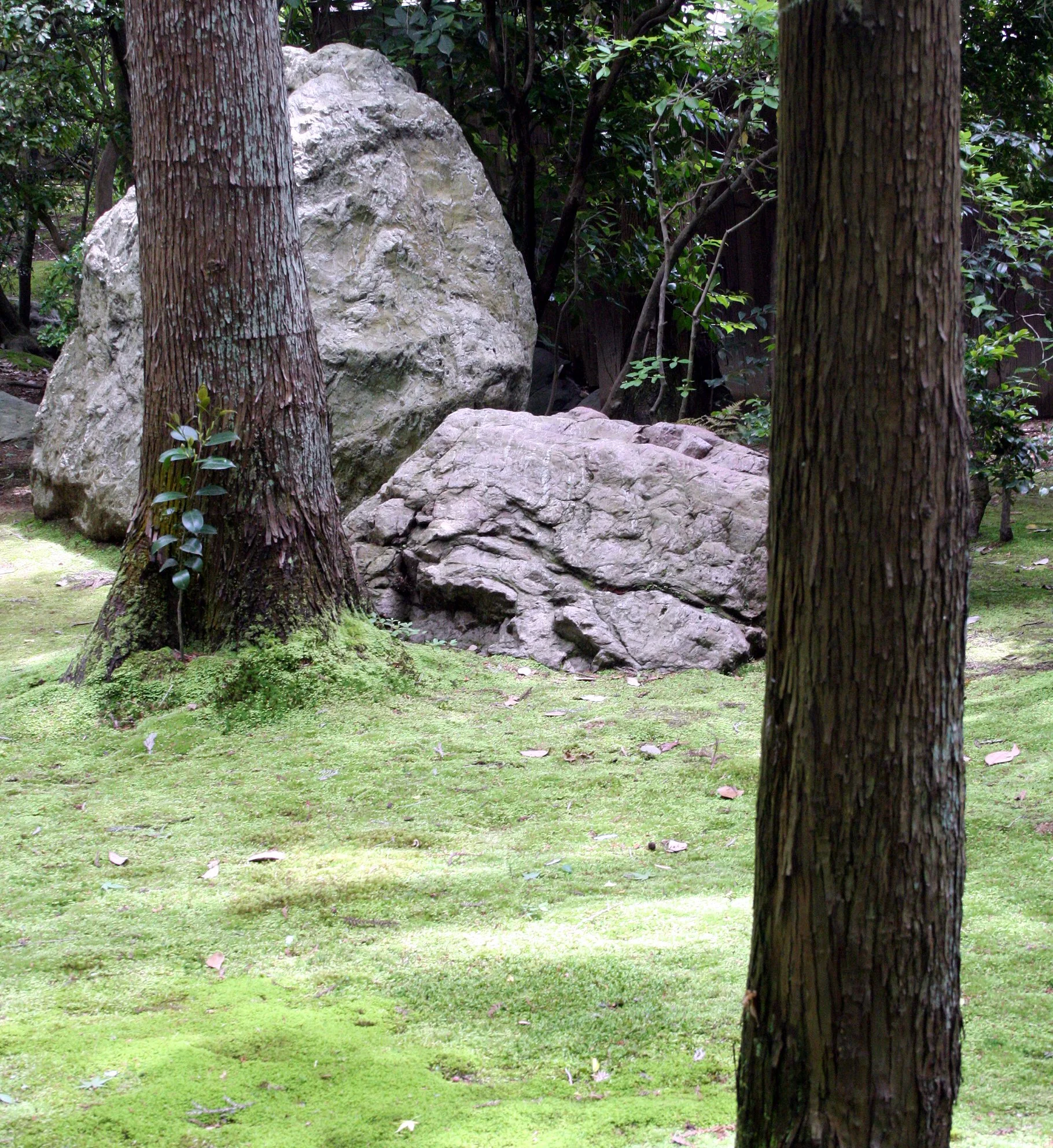 KYOTO - MAY 2009 - RYOANJI MOSS GARDENS (10).JPG