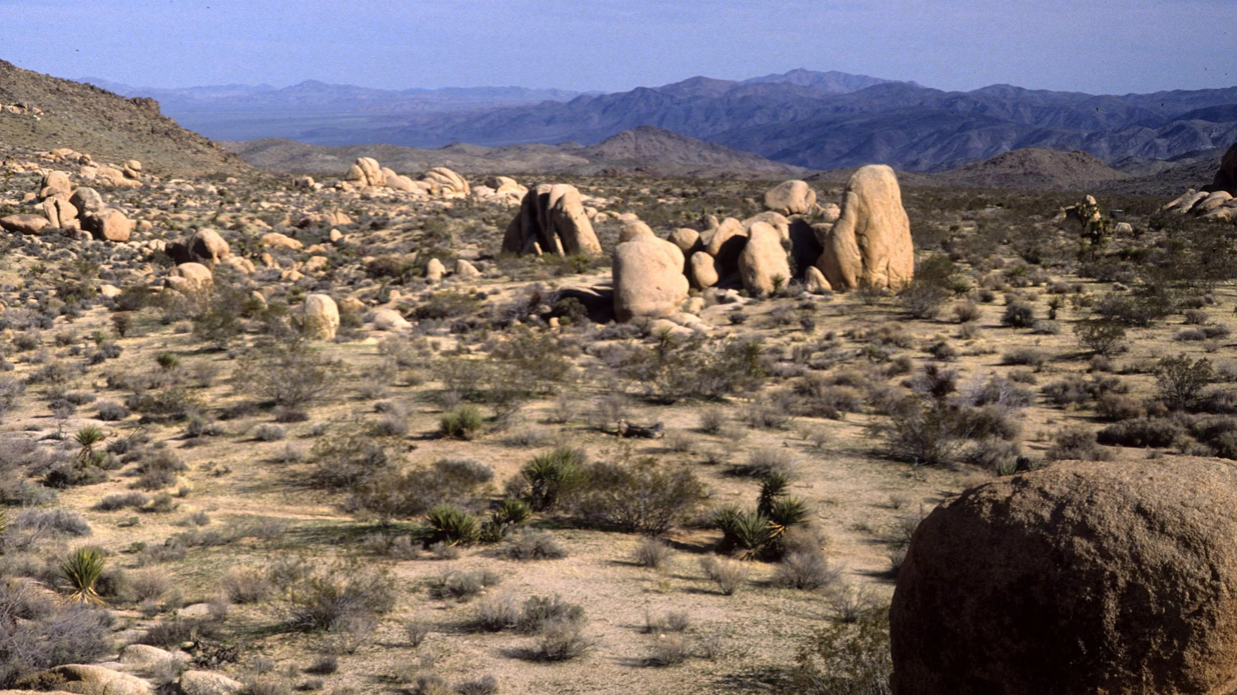 JOSHUA TREE - INSELBERGS F.jpg