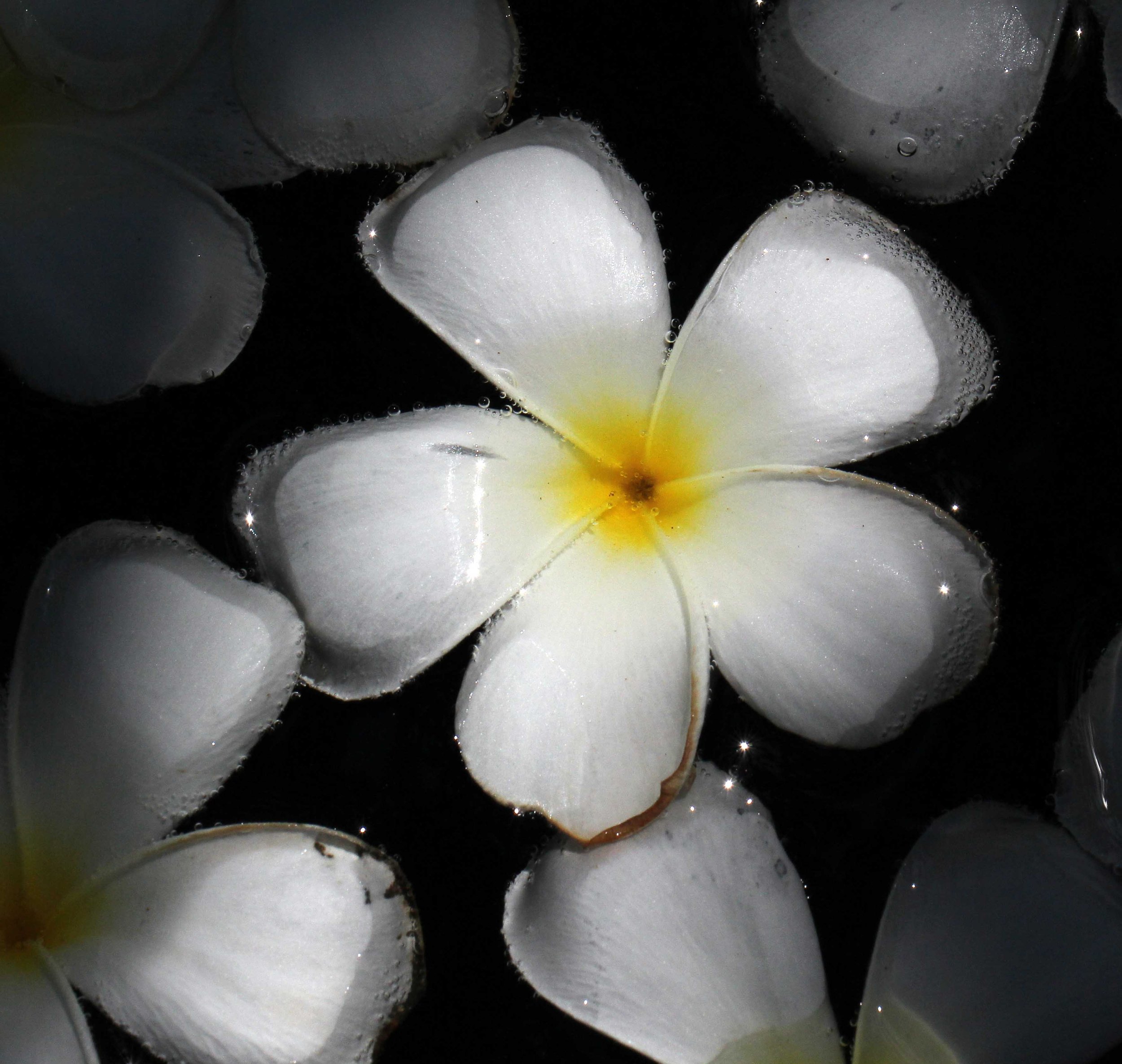 2015 Koh Lanta Songkran with friends from ISB (544).JPG