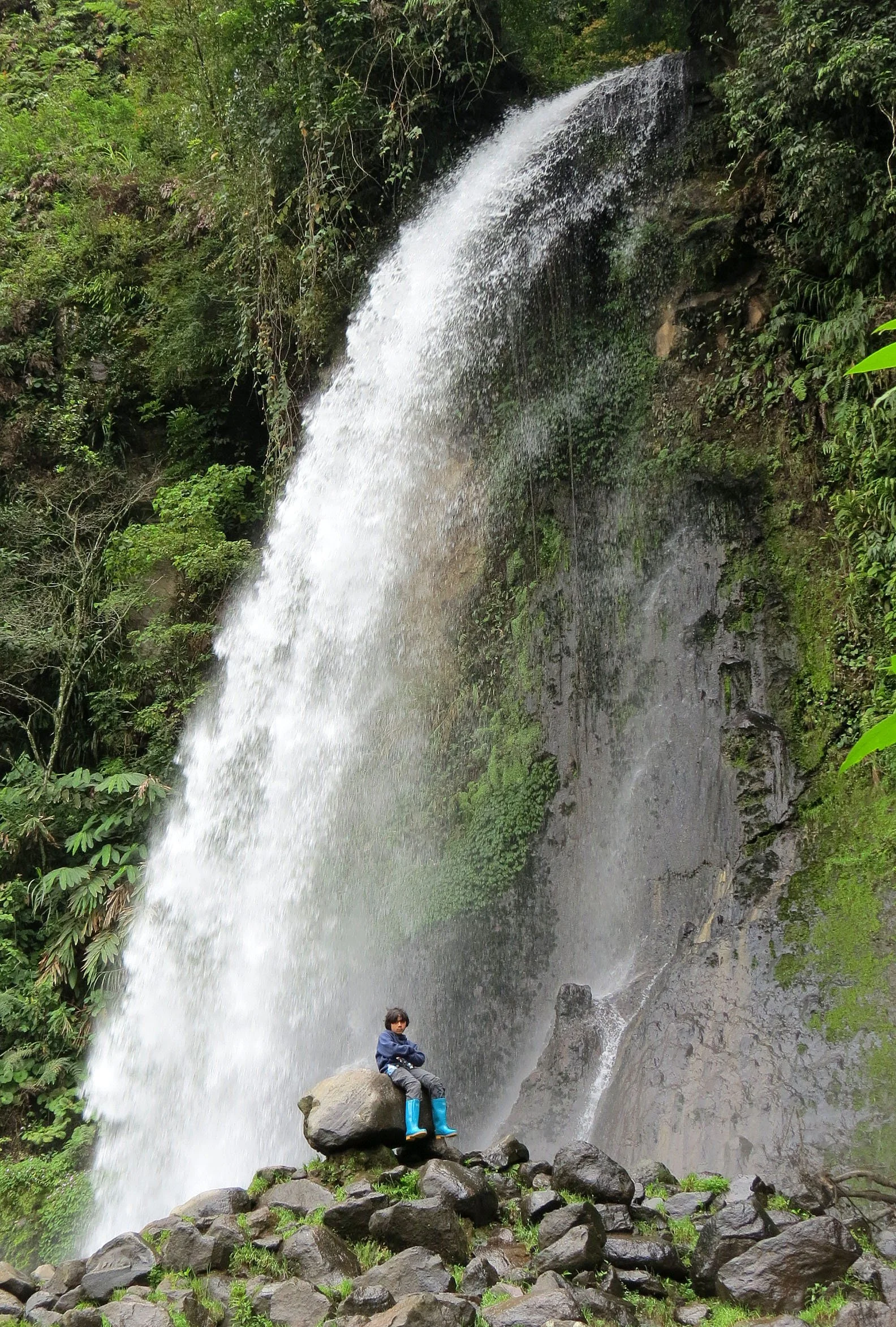 GEDE NATIONAL PARK - JAVA BARAT INDONESIA (59).JPG