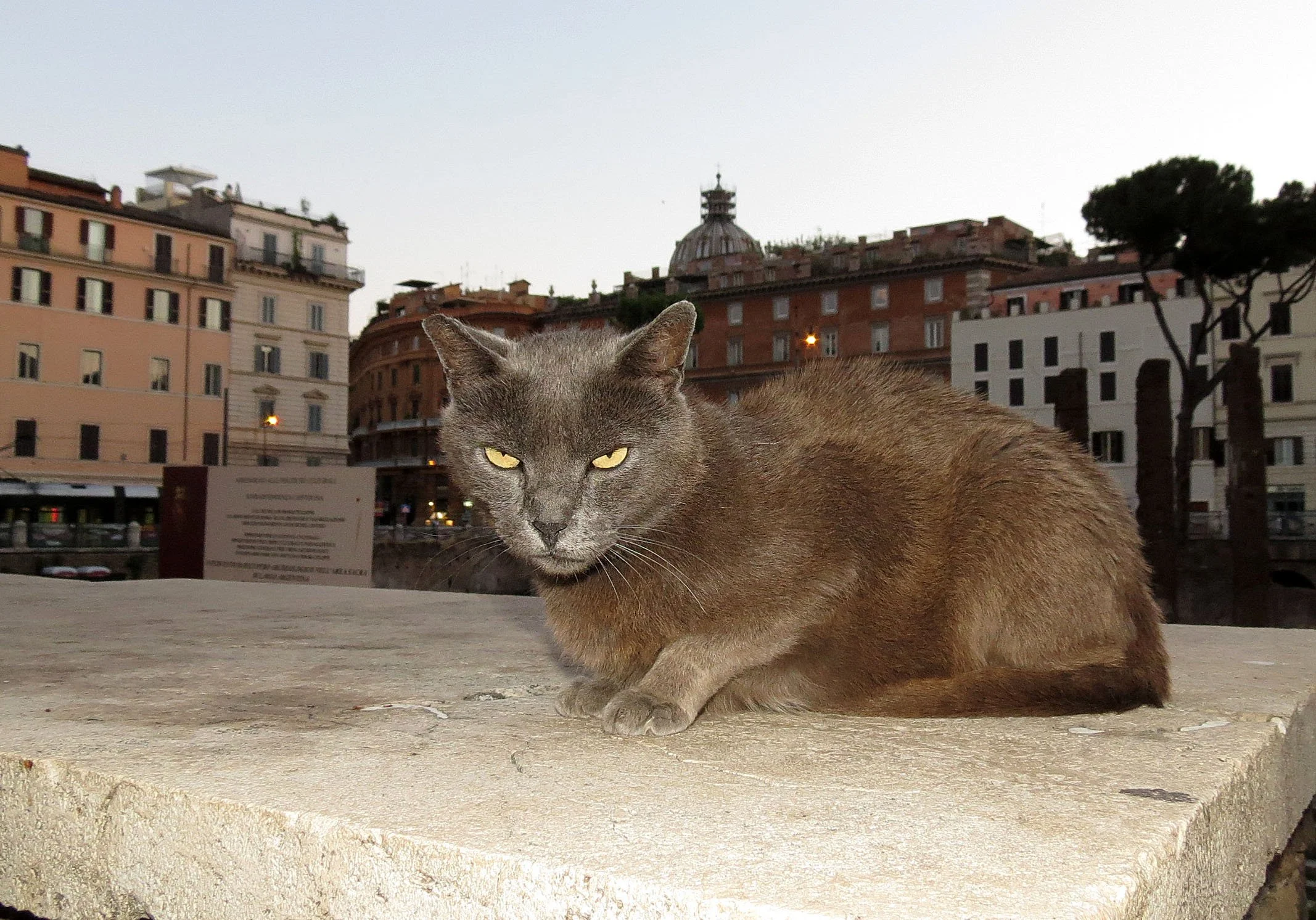 ROME ITALY - SUMMER 2013 (54).JPG