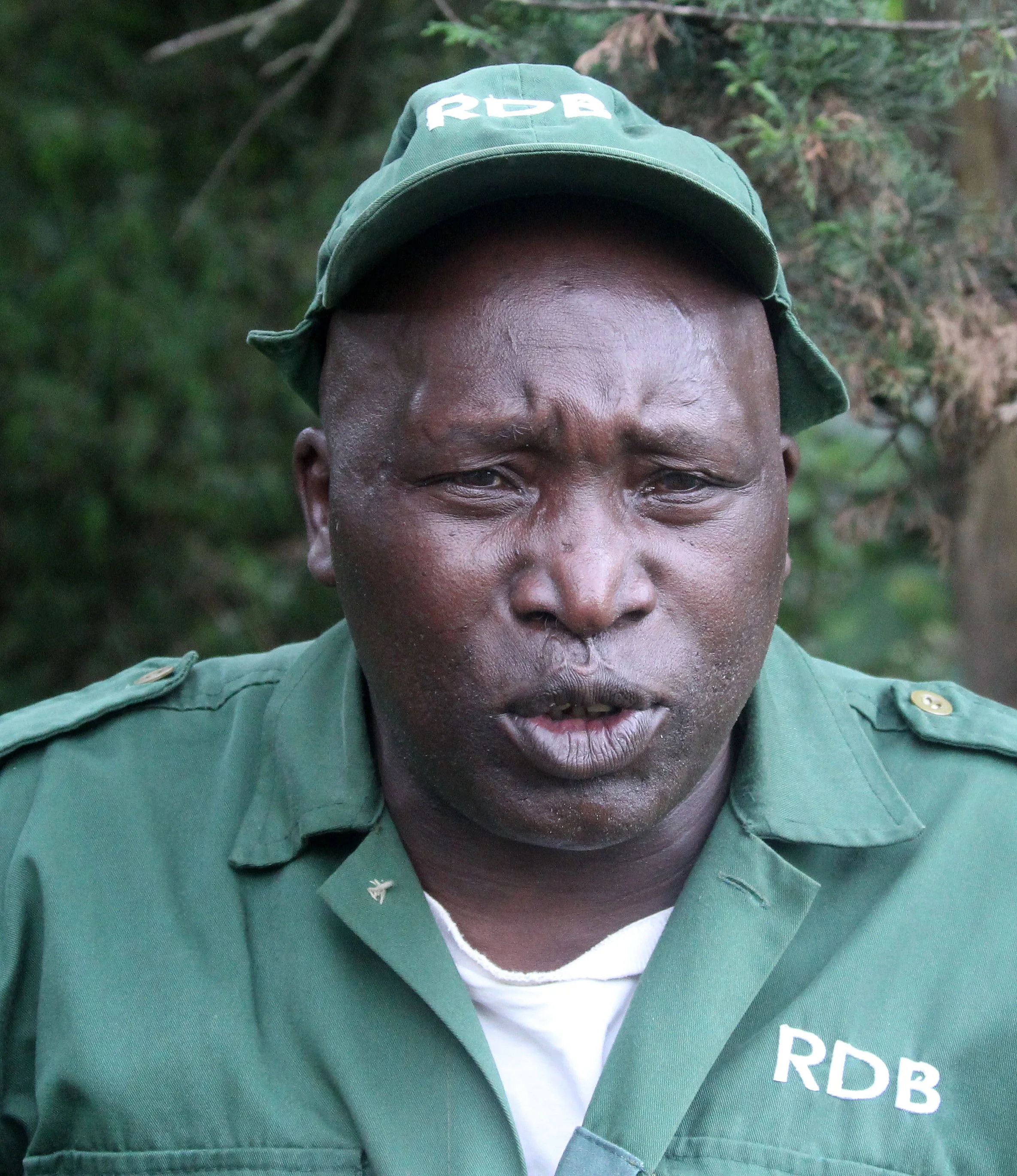 PARC DU VULCANS RWANDA 2012 (163).JPG