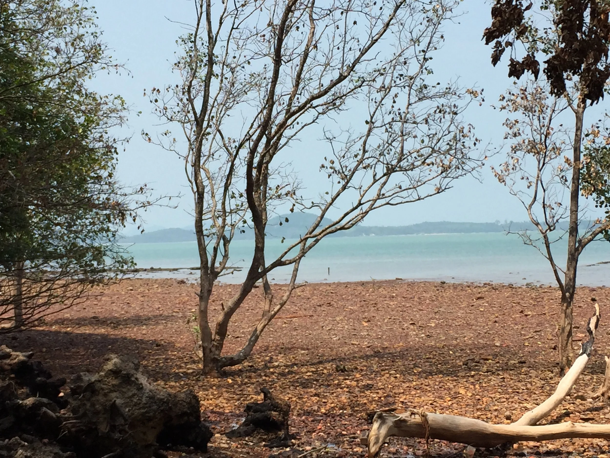 2015 Lanta Project and Scenes (43).JPG