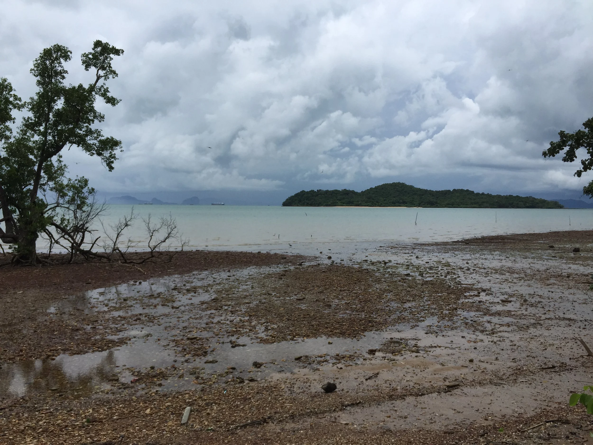 2015 Koh Lanta Garden & Nature (201).JPG