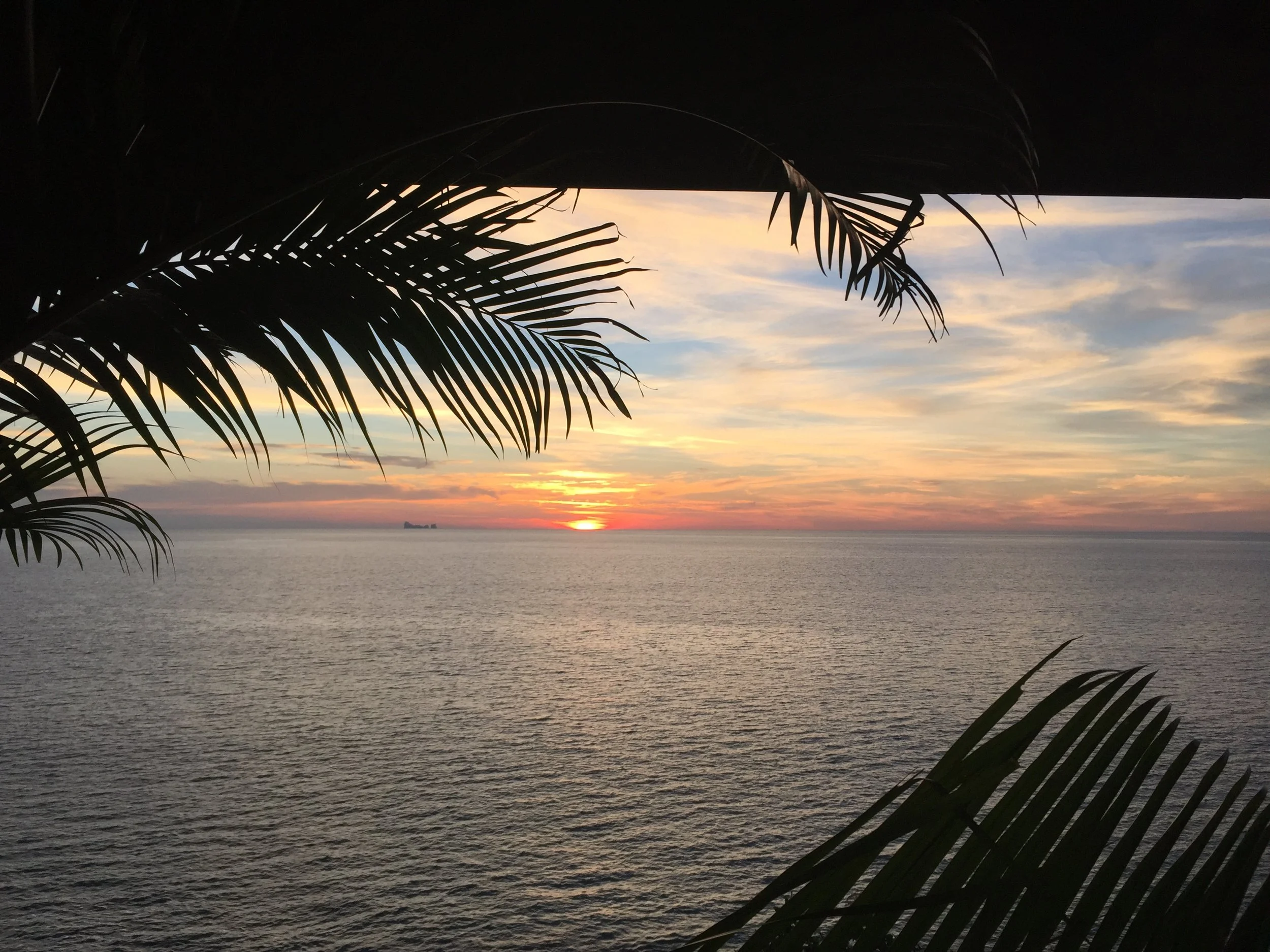 2015 Koh Lanta Garden & Nature (258).JPG