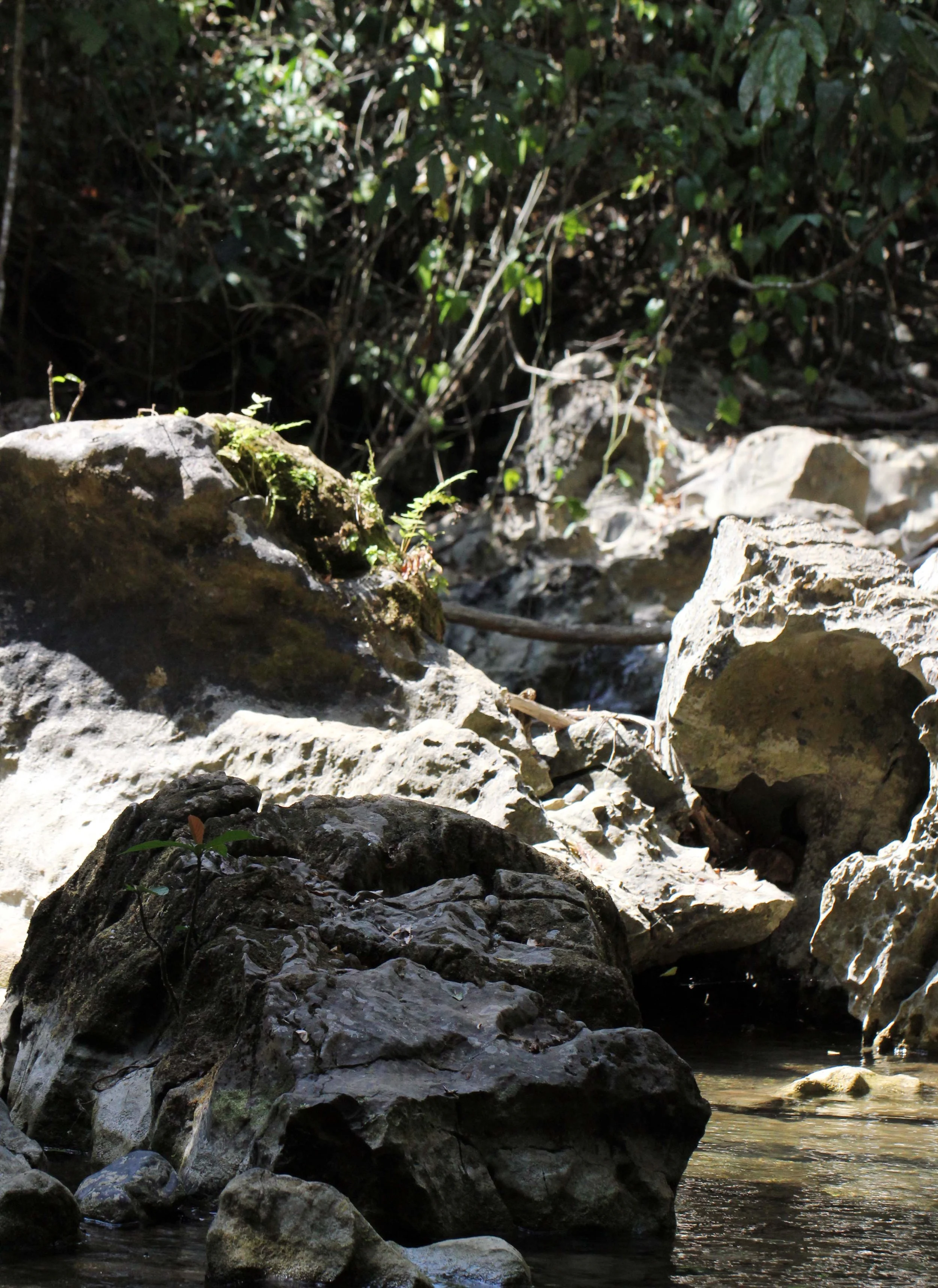 2014 Namthalu Cave Khao Sok National Park Surat Thani (36).JPG