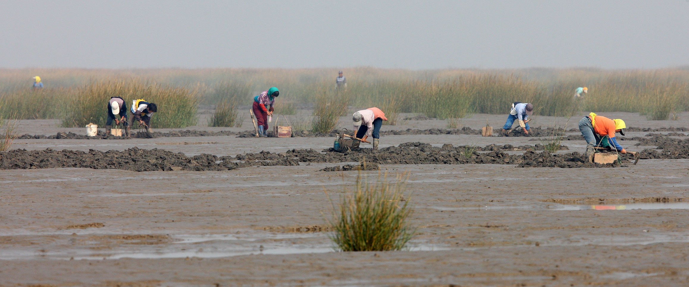 RUDONG, CHINA (1).JPG