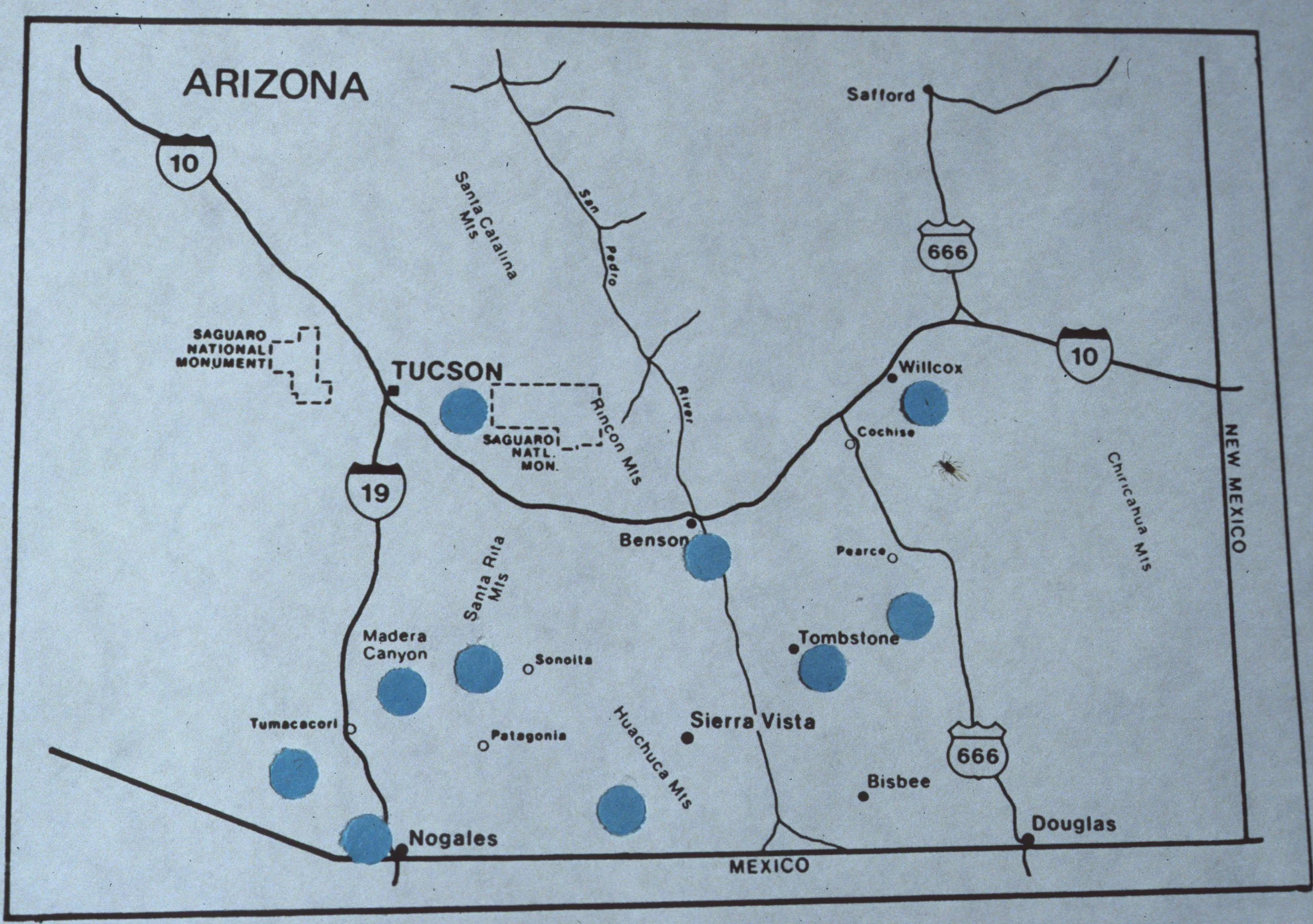 ARIZONA - MADERA CANYON - RESEARCH - STUDY PLOT LOCATIONS.jpg