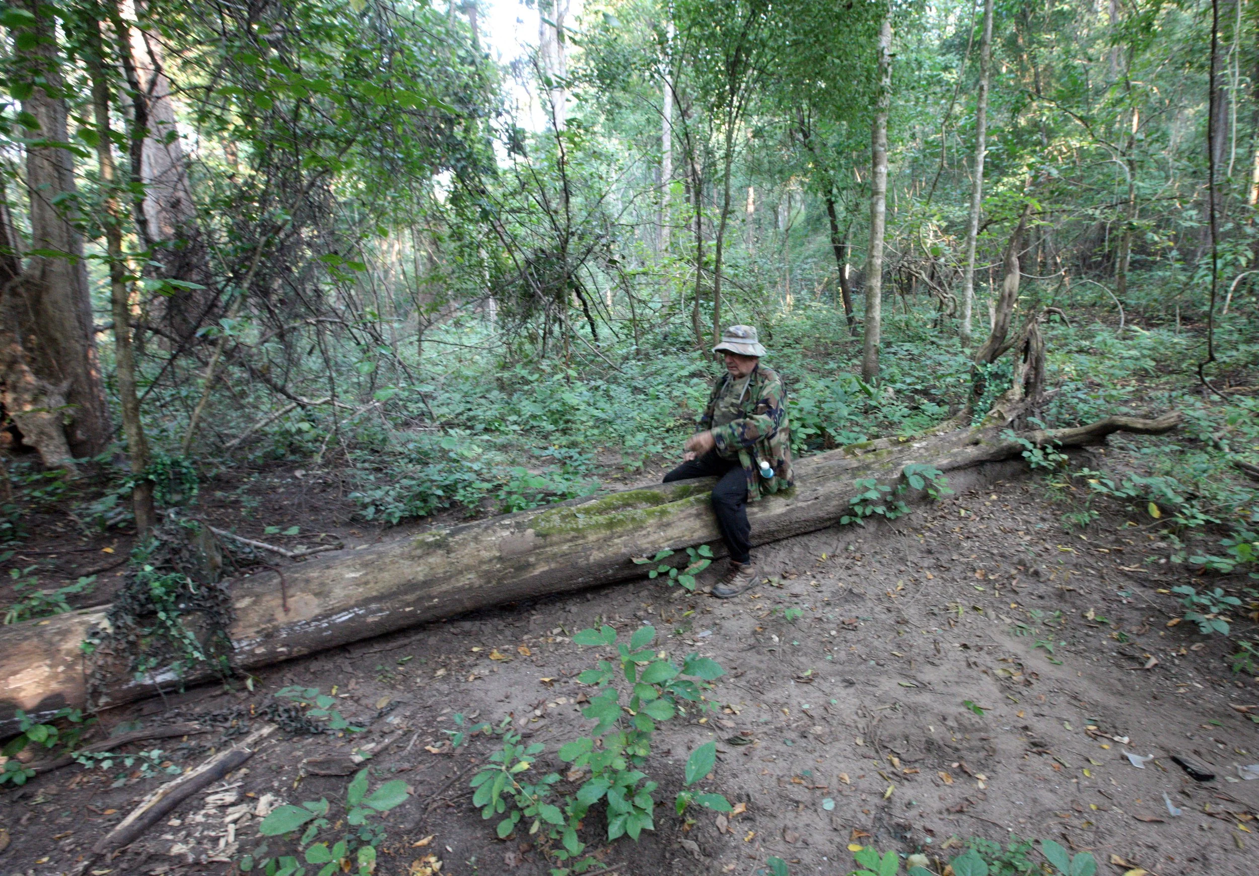 This clearing is deceptive.  It is actually part of a heavily used highway in the heart of Huai Kha Khaeng where Bruce routinely photographed so many animals over the years ranging from elephants to tigers to leopards to gaur and so much more.