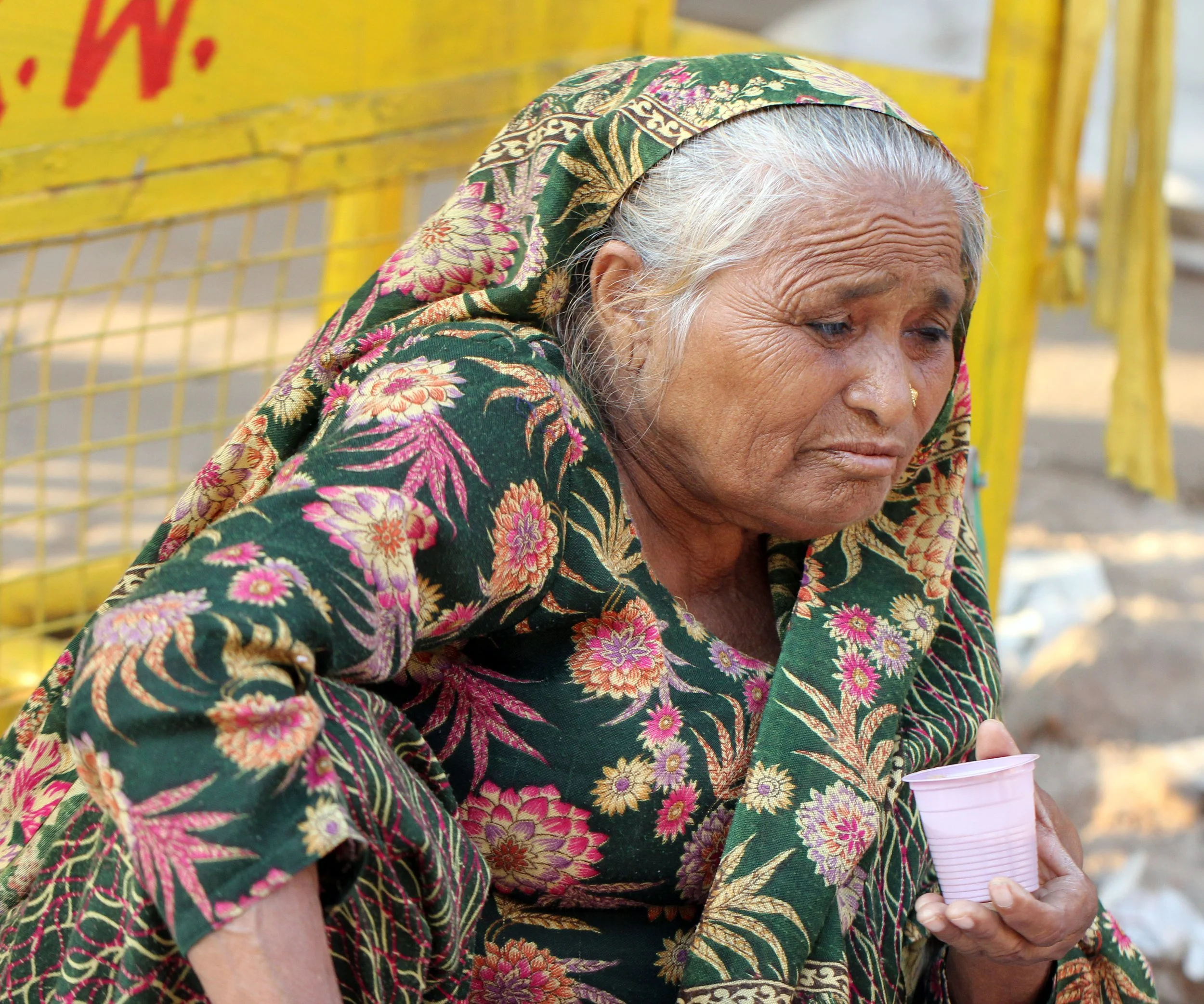OLD DELHI INDIA - OCTOBER 2014 (31).JPG