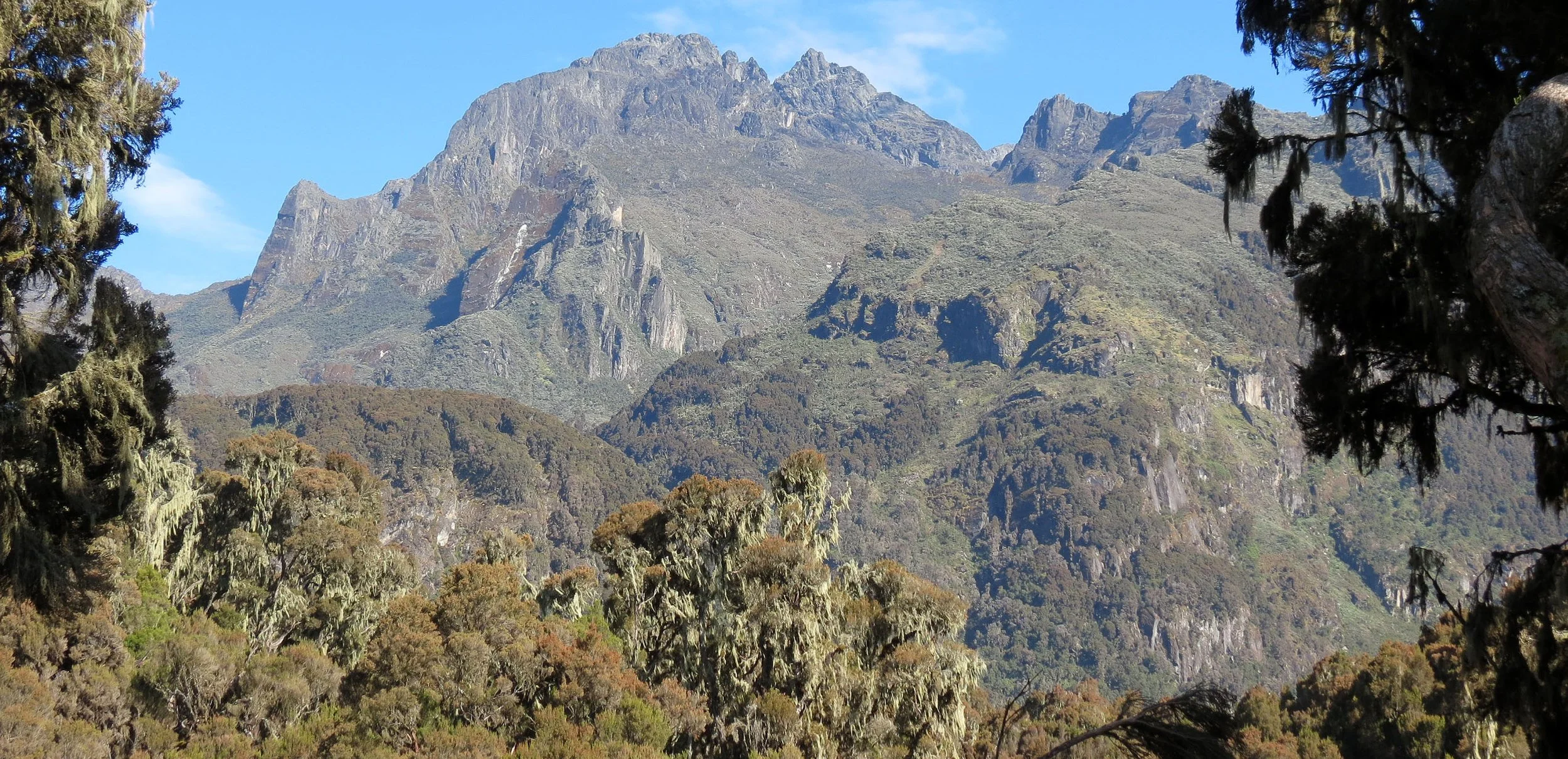 RWENZORI NATIONAL PARK UGANDA (264).JPG