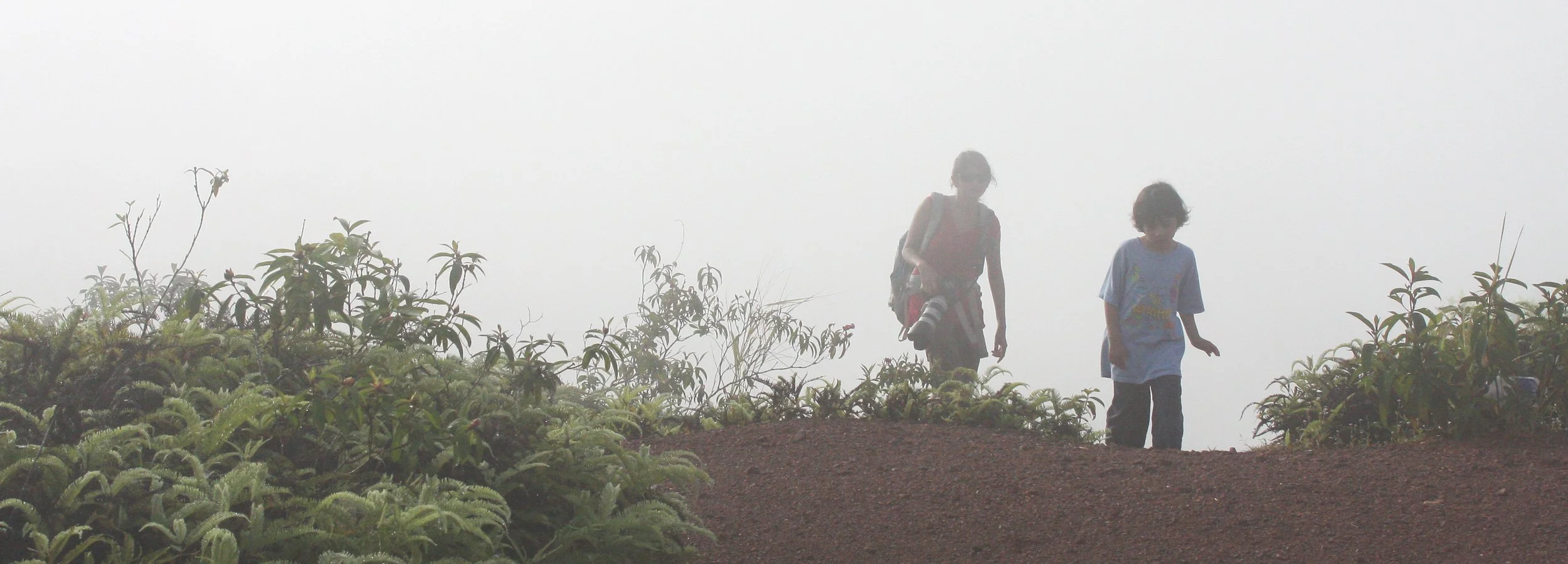 KRUNG CHIN NP - THALE MOG VIEW POINT THAILAND (12).JPG