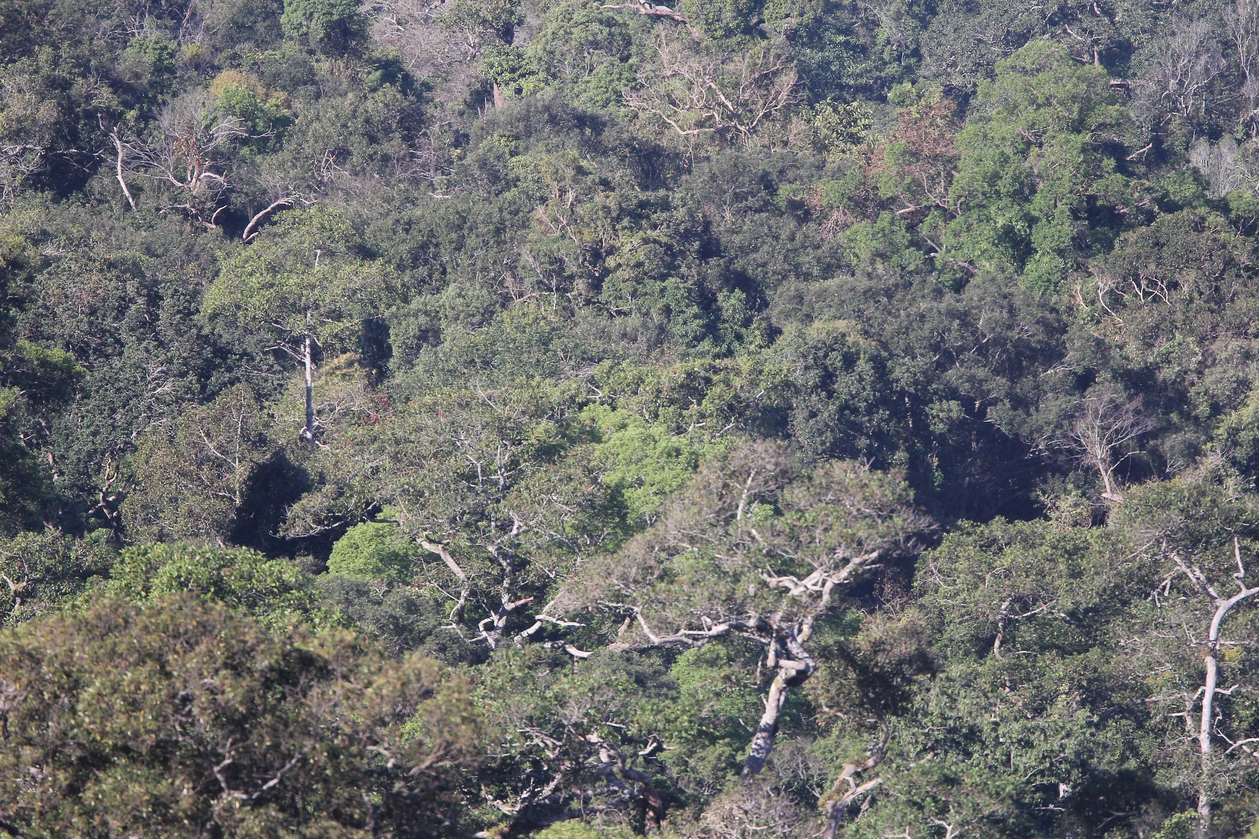 2019 Khao Yai Camping Trip (50).JPG