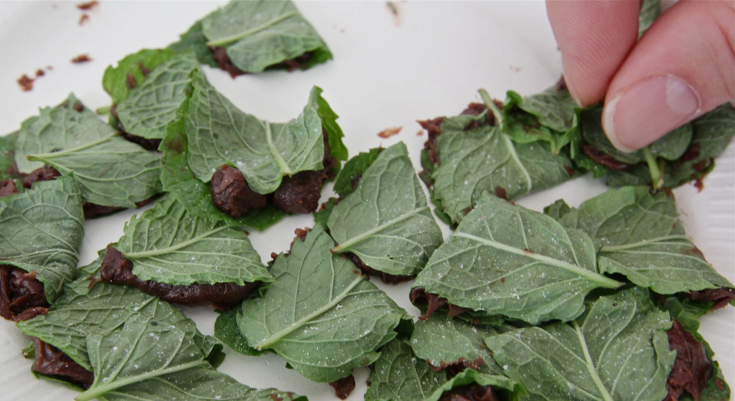 13-10-2012 SAS CARNIVAL (55).JPG