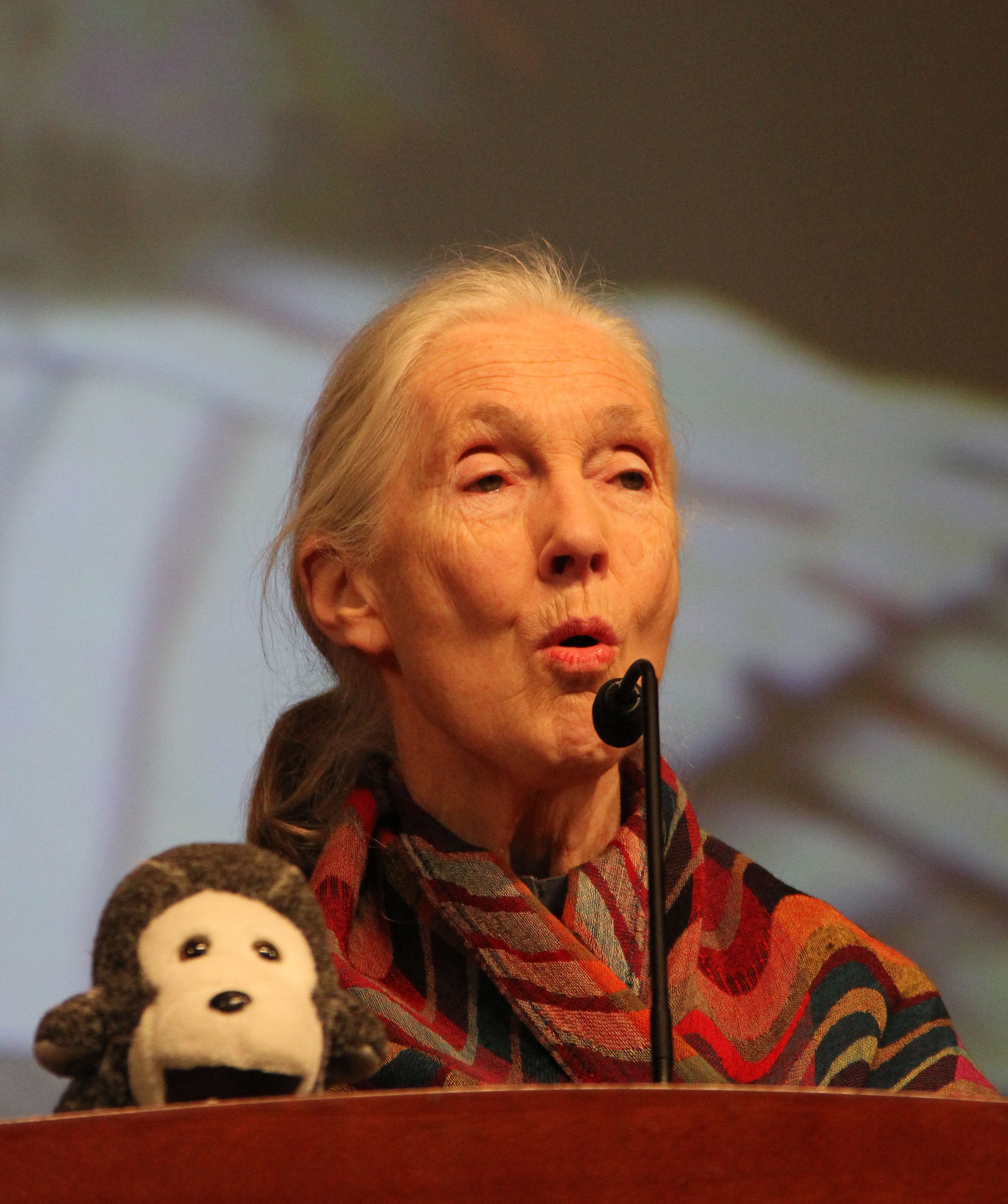 JANE GOODALL 2012 (4).JPG