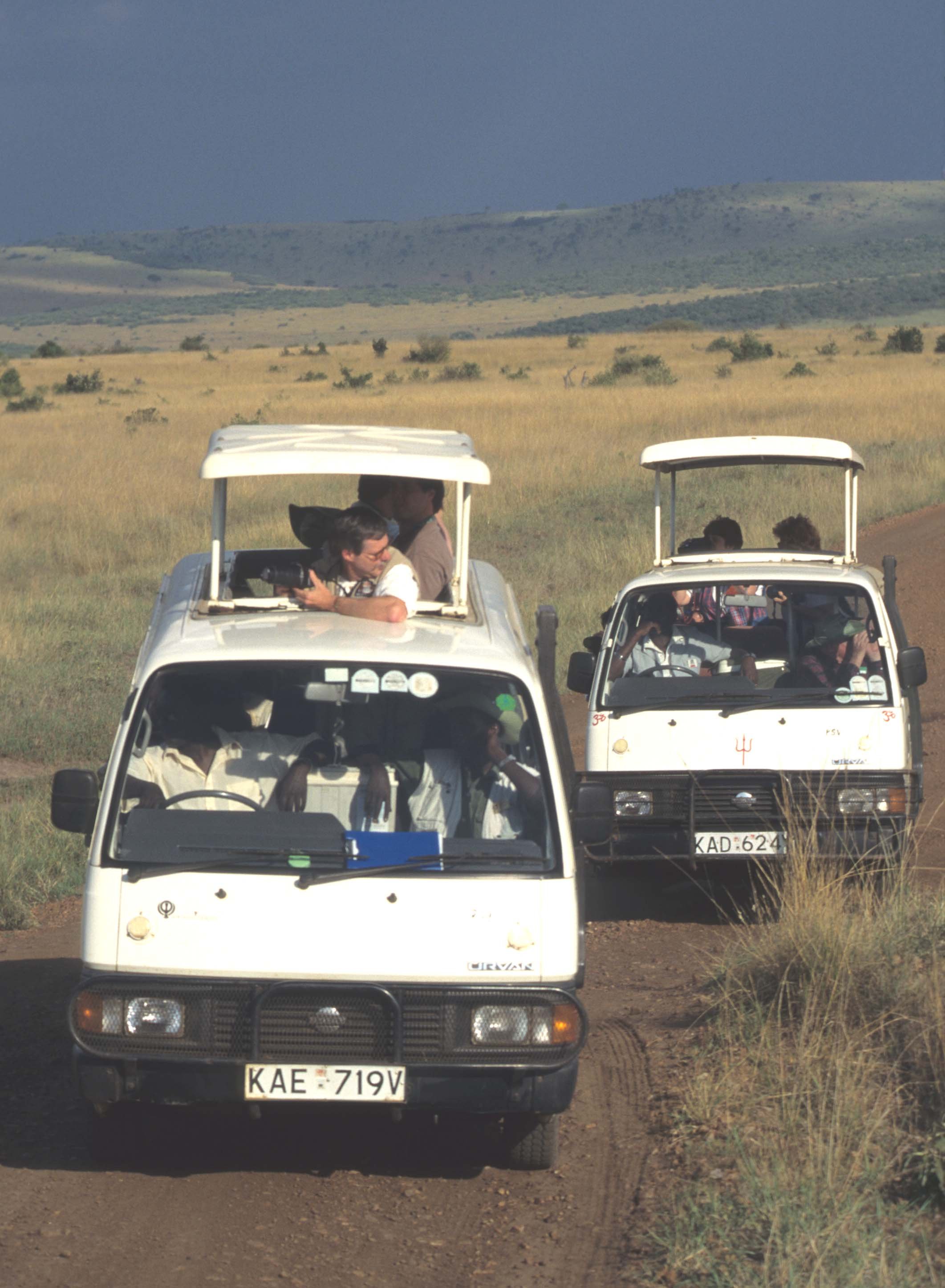 SERENGETI TRAFIC.jpg